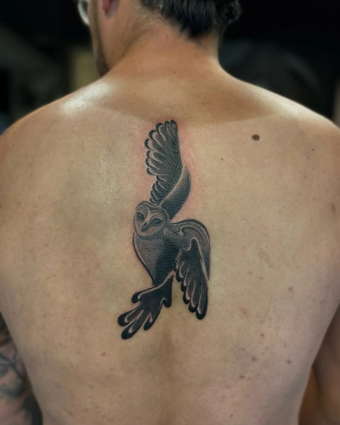 This was a hoot to tattoo 🫶🏻
&bull;
machine: @masttattoo.official 
meedles: @kwadron 
balm&amp;stencil: @biotat_ 
ink: @pantheraink 
aftercare: @recoveryaftercare 
&bull;
#Blackwork #Dotwork  #blackworktattoo #DotworkTattoo #BlackInk #LineworkTatto