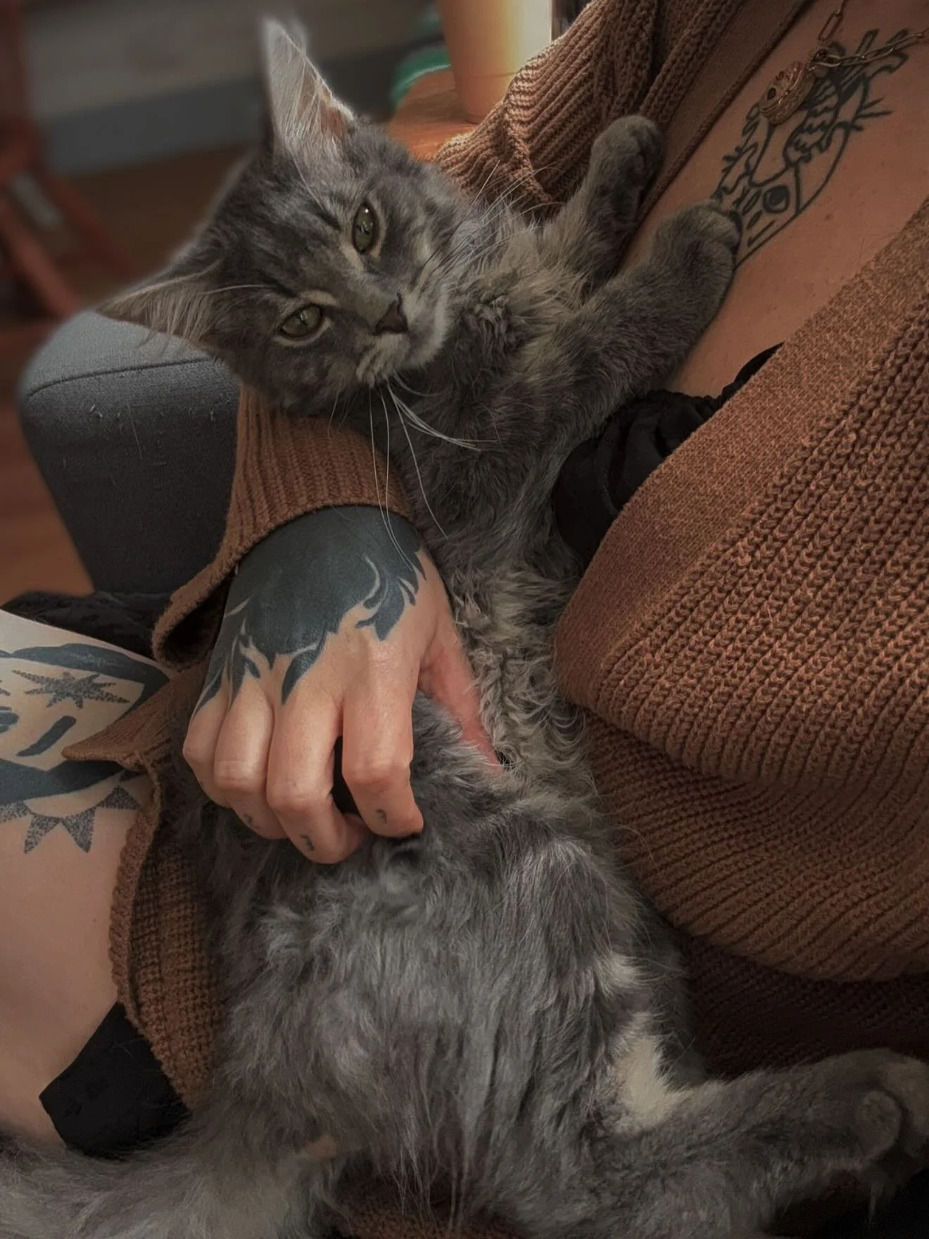 I can&rsquo;t believe it&rsquo;s been 2 whole months since I brought Malakai home. It&rsquo;s been a magical time in Madison already. I&rsquo;m feeling so grateful today 🤍
&bull;
&bull;
machine: @masttattoo.official 
meedles: @kwadron &amp; @masttat