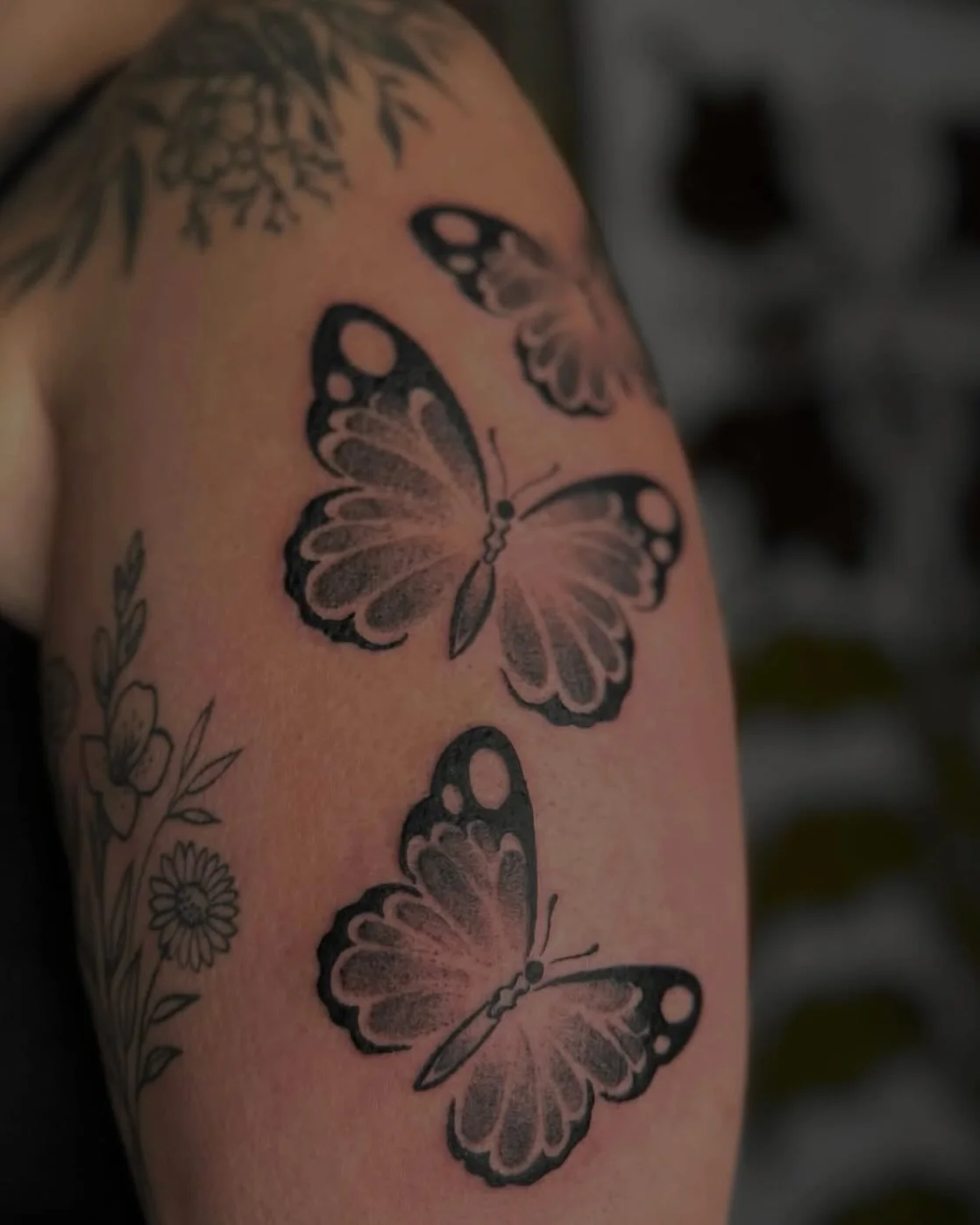 🦋 
&bull;
machine: @masttattoo.official 
meedles: @emalla.official 
balm&amp;soap: @biotat_ 
stencil: @electrumsupply 
ink: @pantheraink 
&bull;
#blackworktattoo #dotworktattoo #ornamentaltattoo #tattoos #tattoo