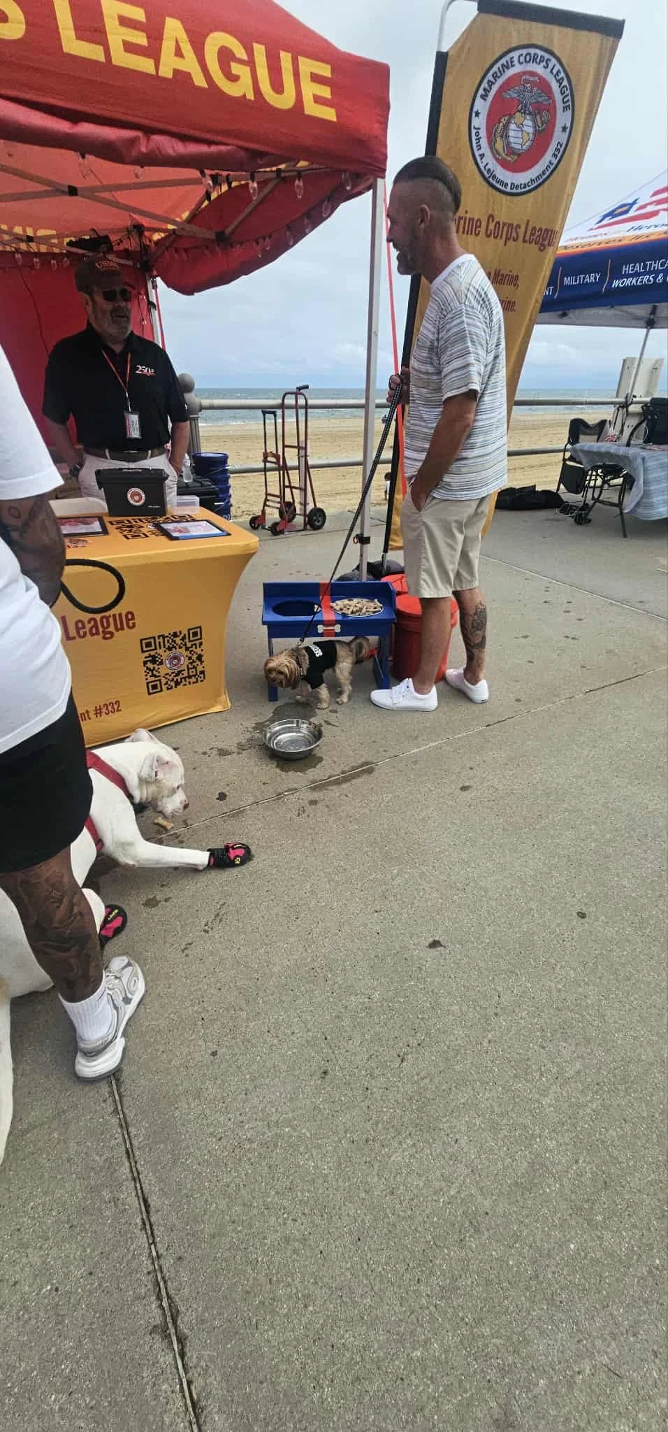 06eb2ed7-4324-4838-a4f7-0af8b473c147.jfif