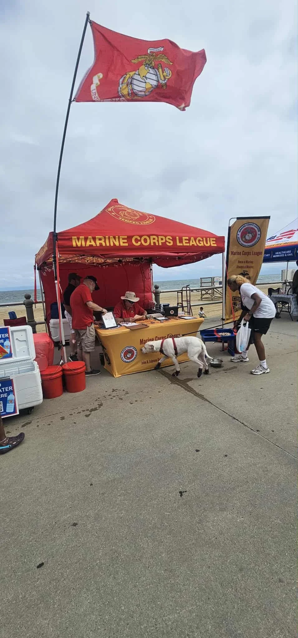 11bff559-65e4-48da-9033-f94162876dfb.jfif