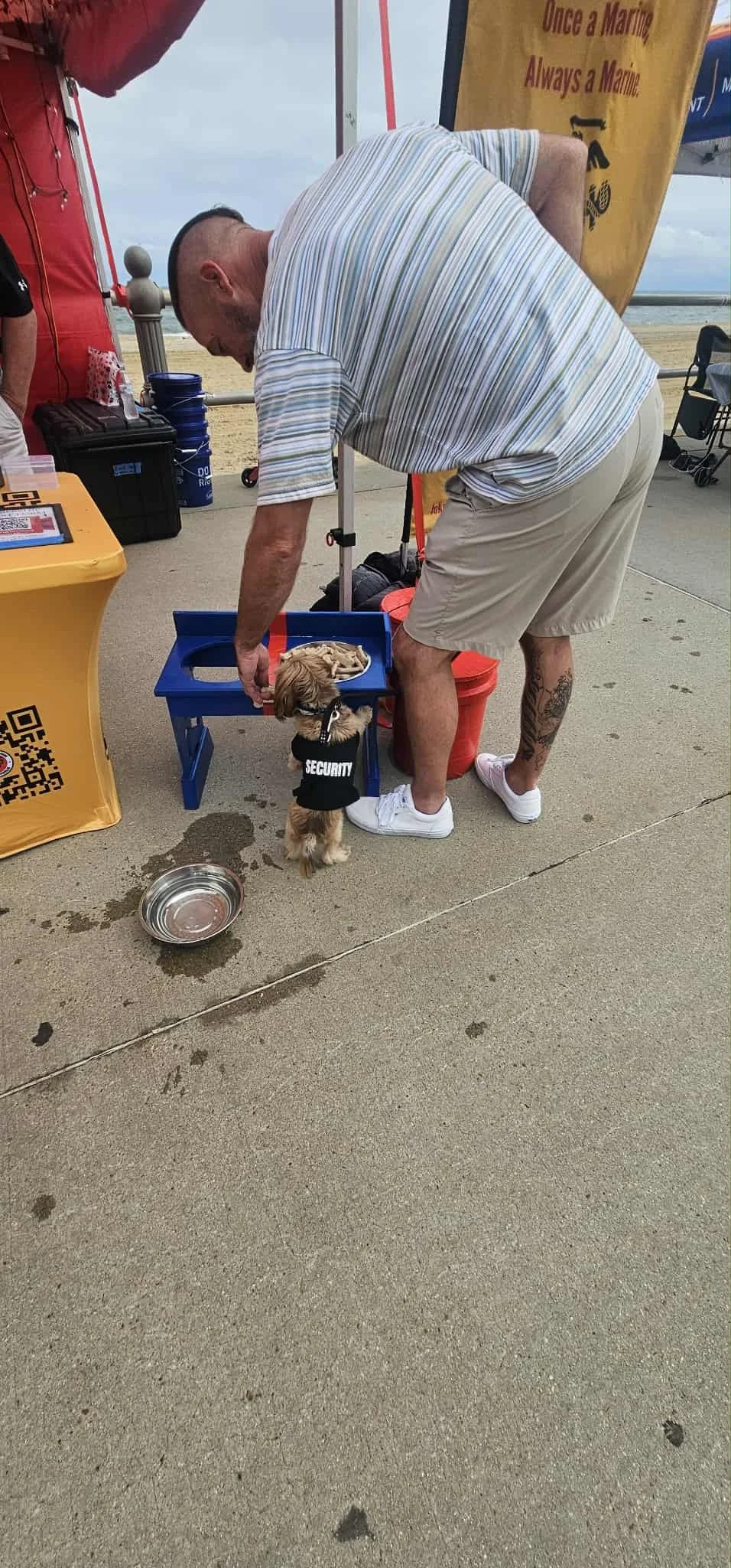 2b287267-edd3-4e63-88de-0be0a306207d.jfif