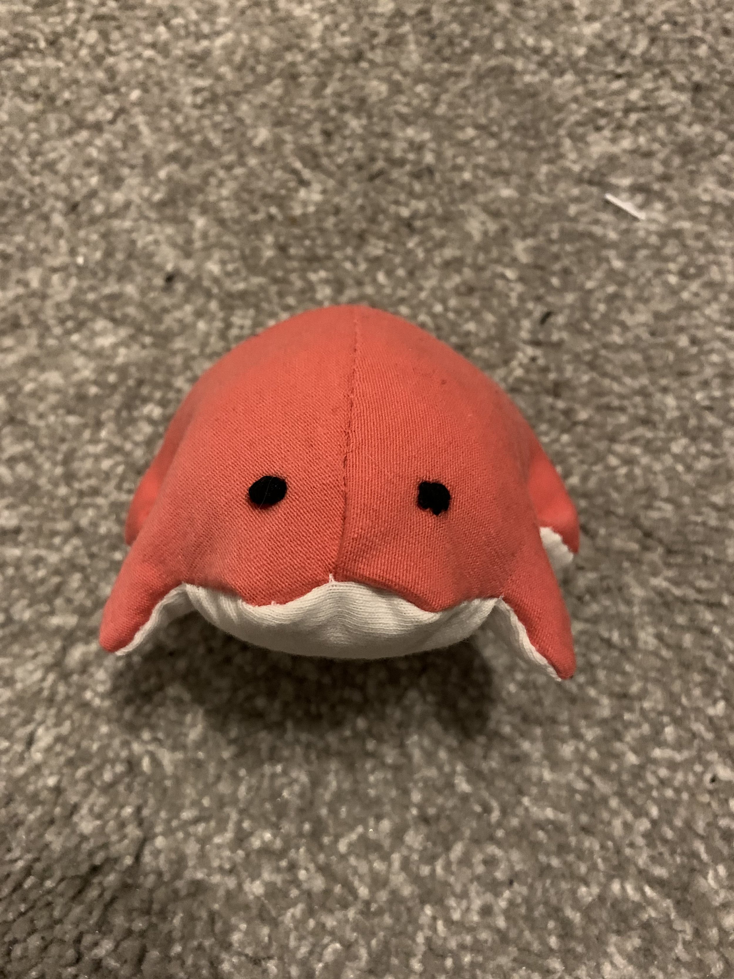IMG_0827.jpeg