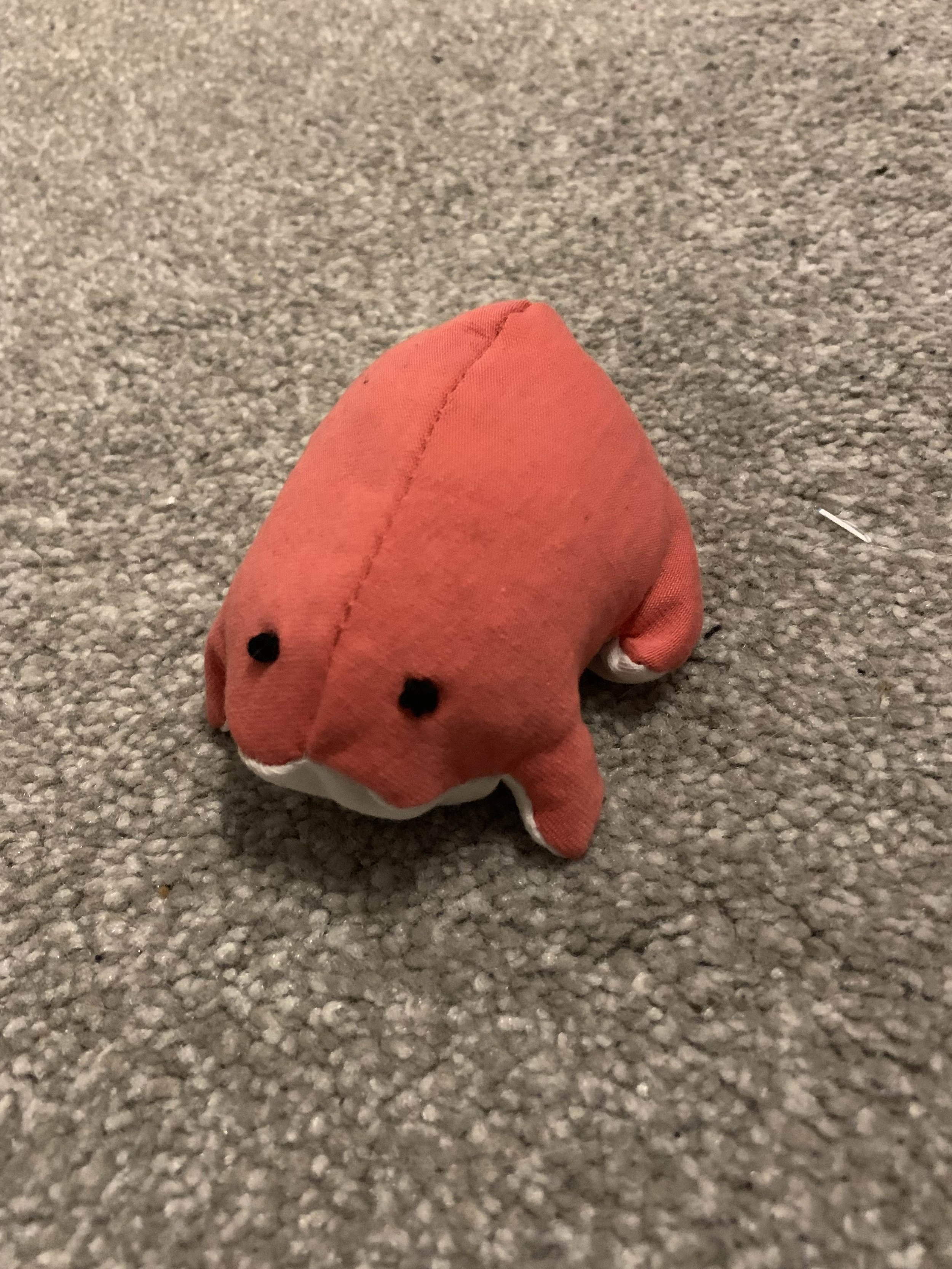 IMG_0824.jpeg