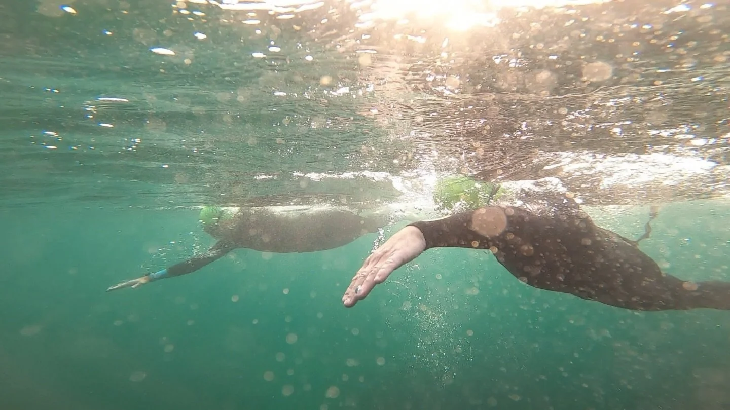 Throwback Thursday 🩵

When we used to swim together, back when life was simple 💁&zwj;♀️

#openwaterswimming #seaswimmer #simplelife #openwater #swimming