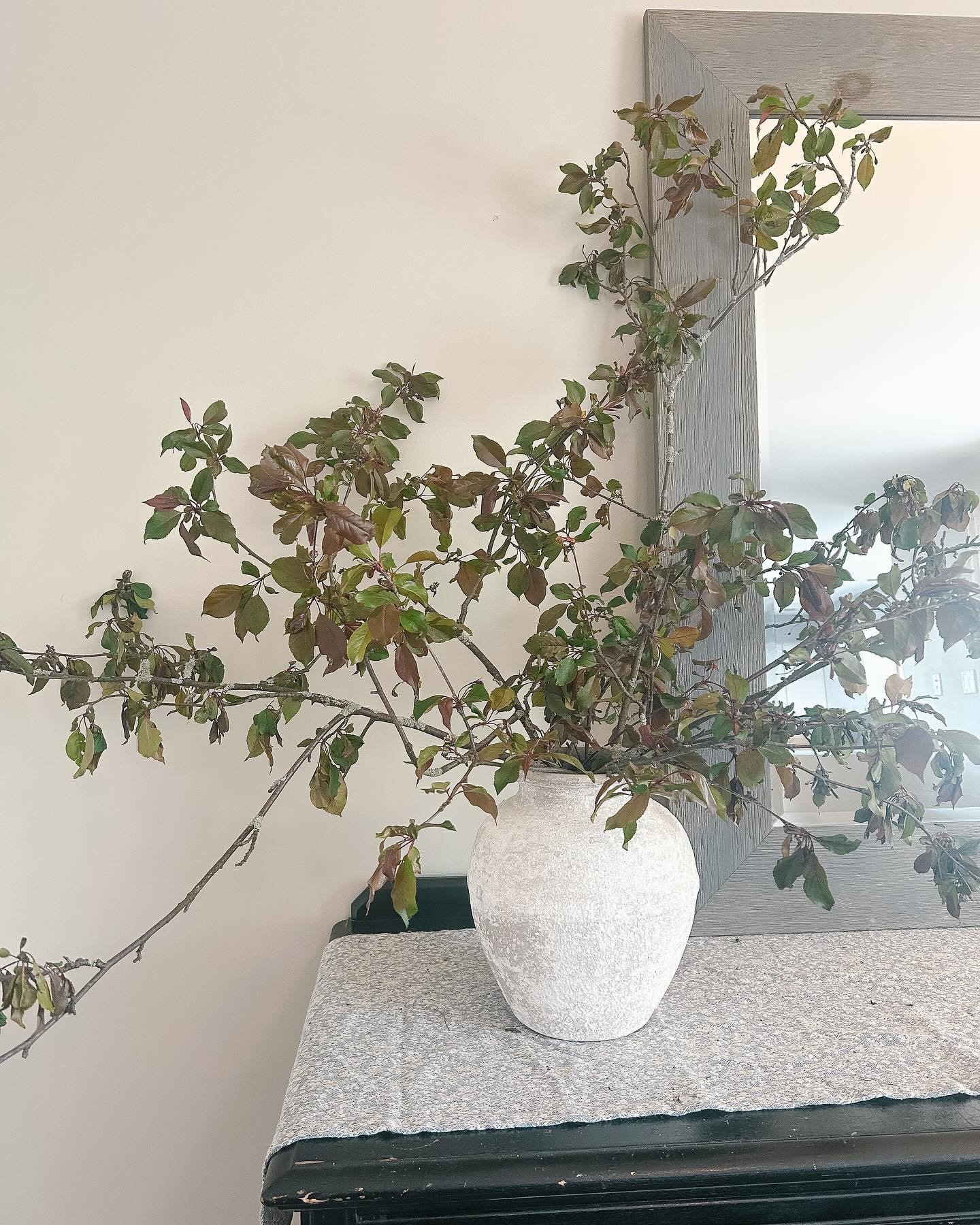 o r g a n i c 

styling your home with natural earthy elements creates a subtle &amp; peaceful mood in each unique space. 

Send us a message today and inquire about our interior styling services..