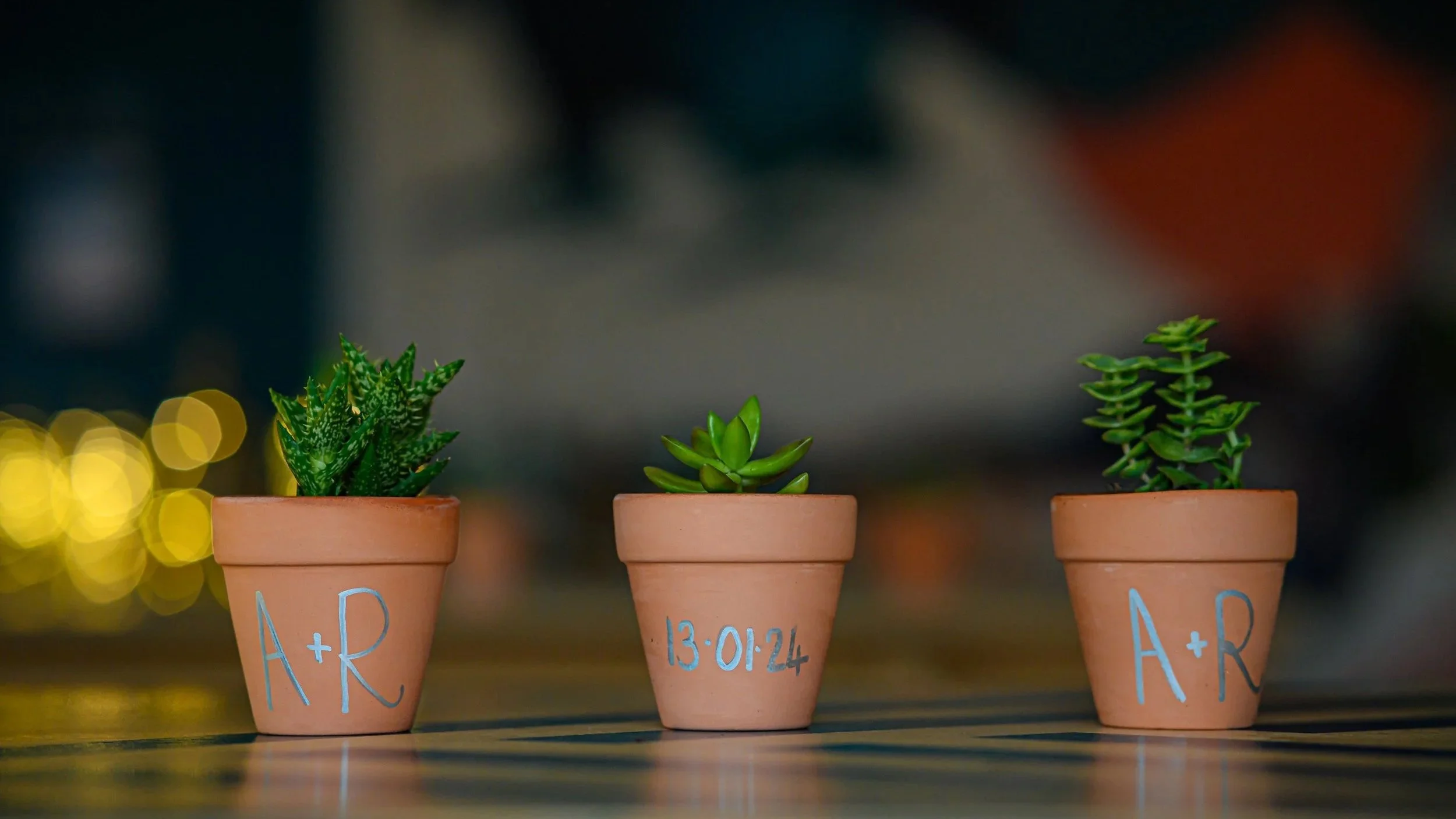 Cacti wedding table decor