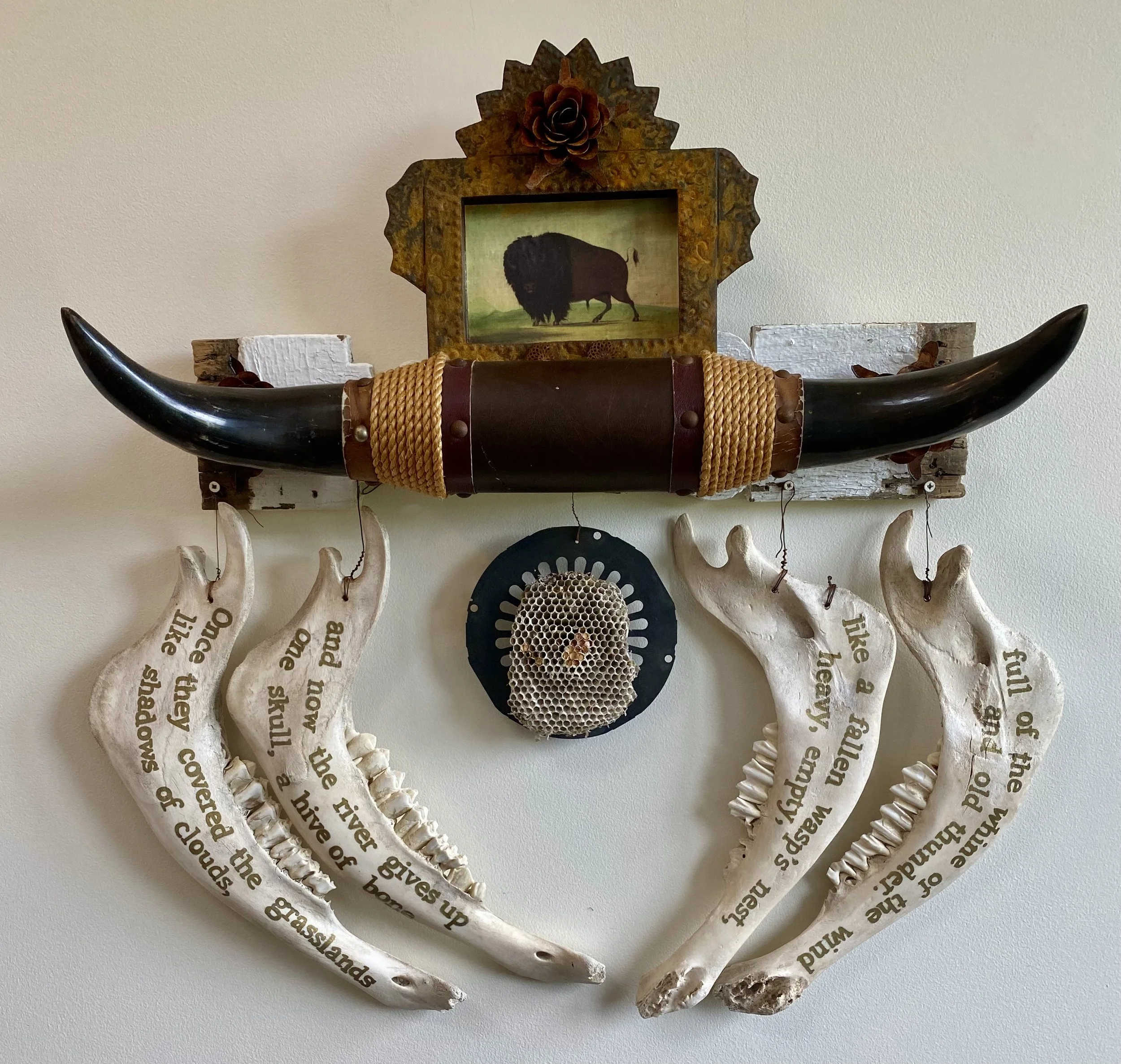 A Buffalo Skull