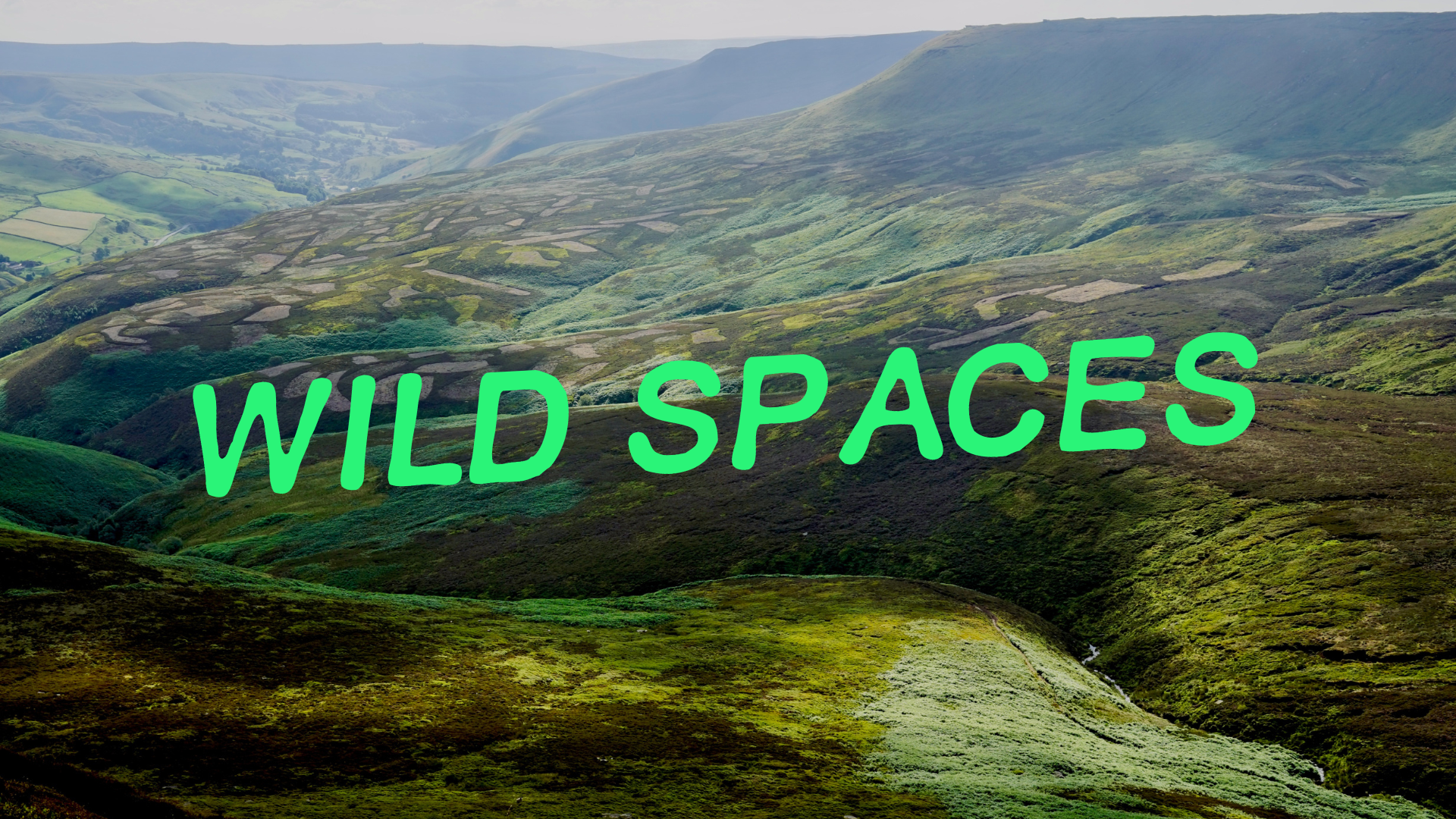 Wild Spaces
