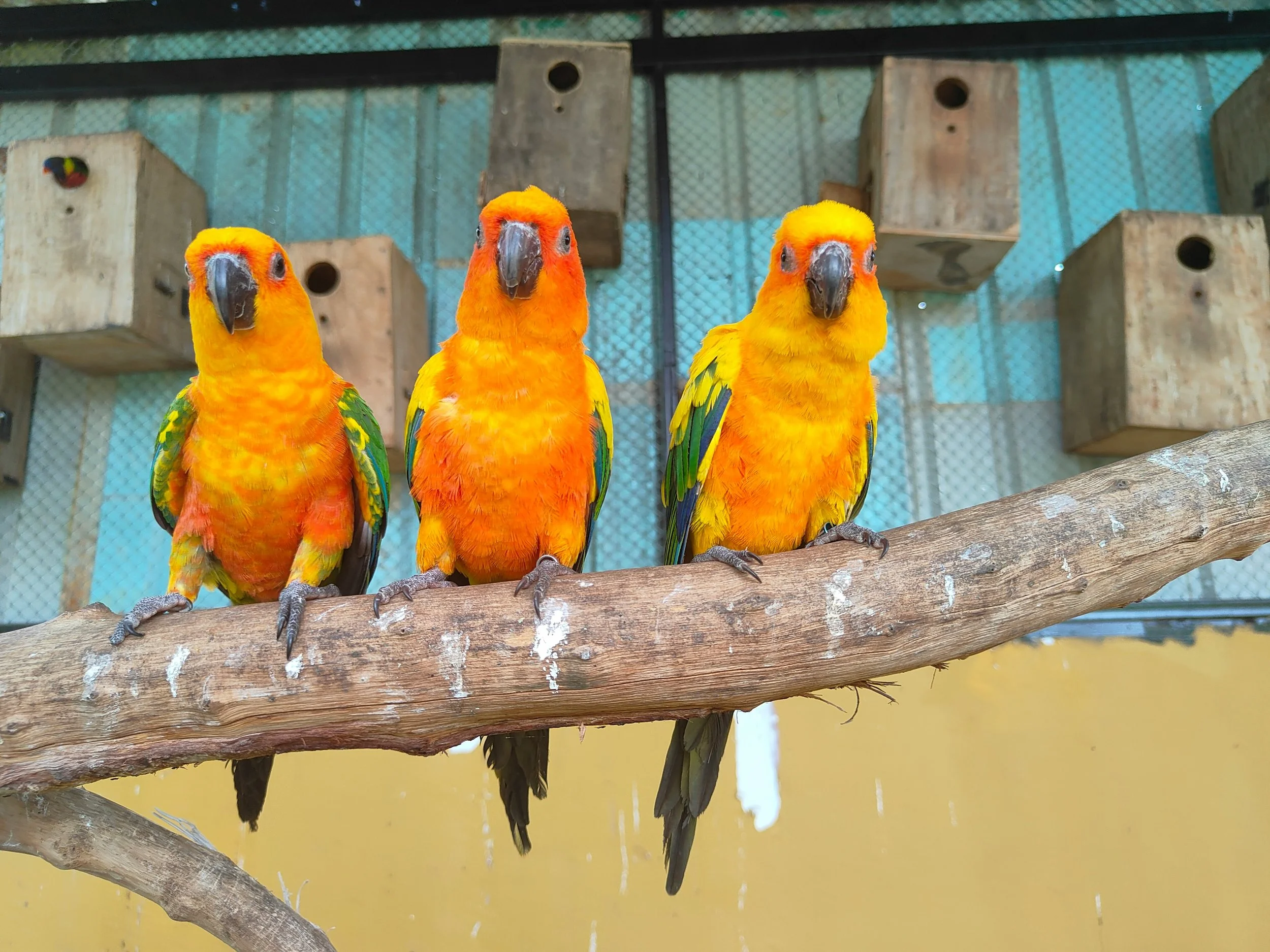 Why Choose a BCACC-Approved Supervisor for Your Clinical Supervision