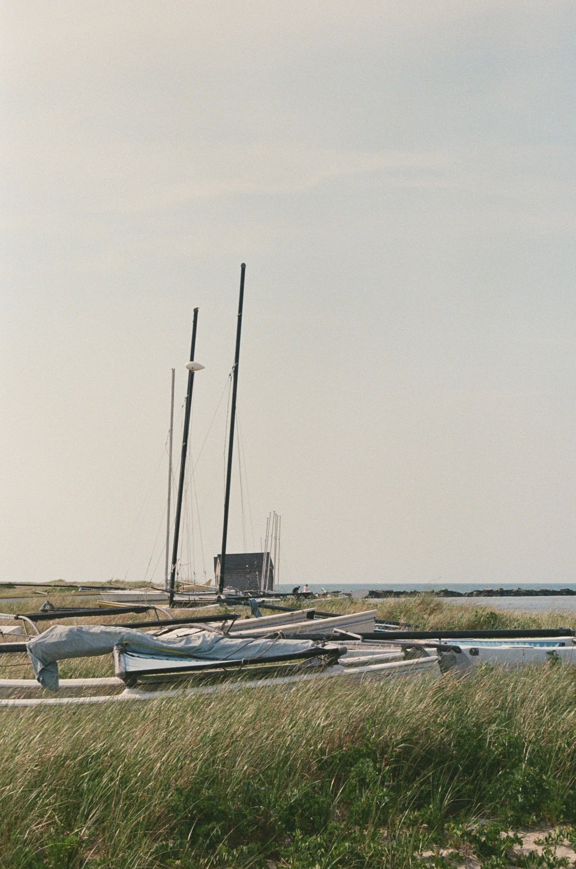 Nantucket Wedding Flowers