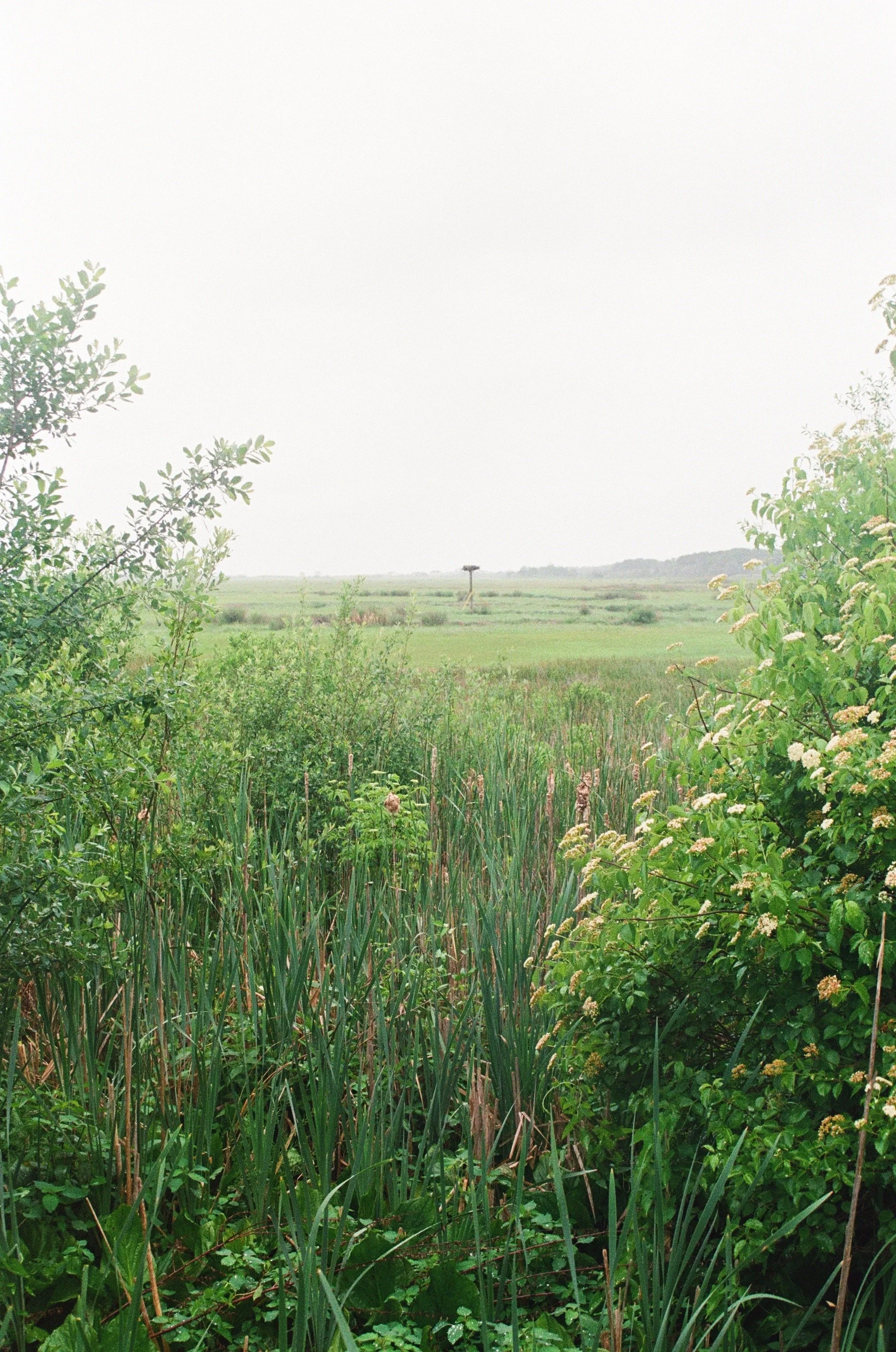 Cape Cod Wedding Flowers