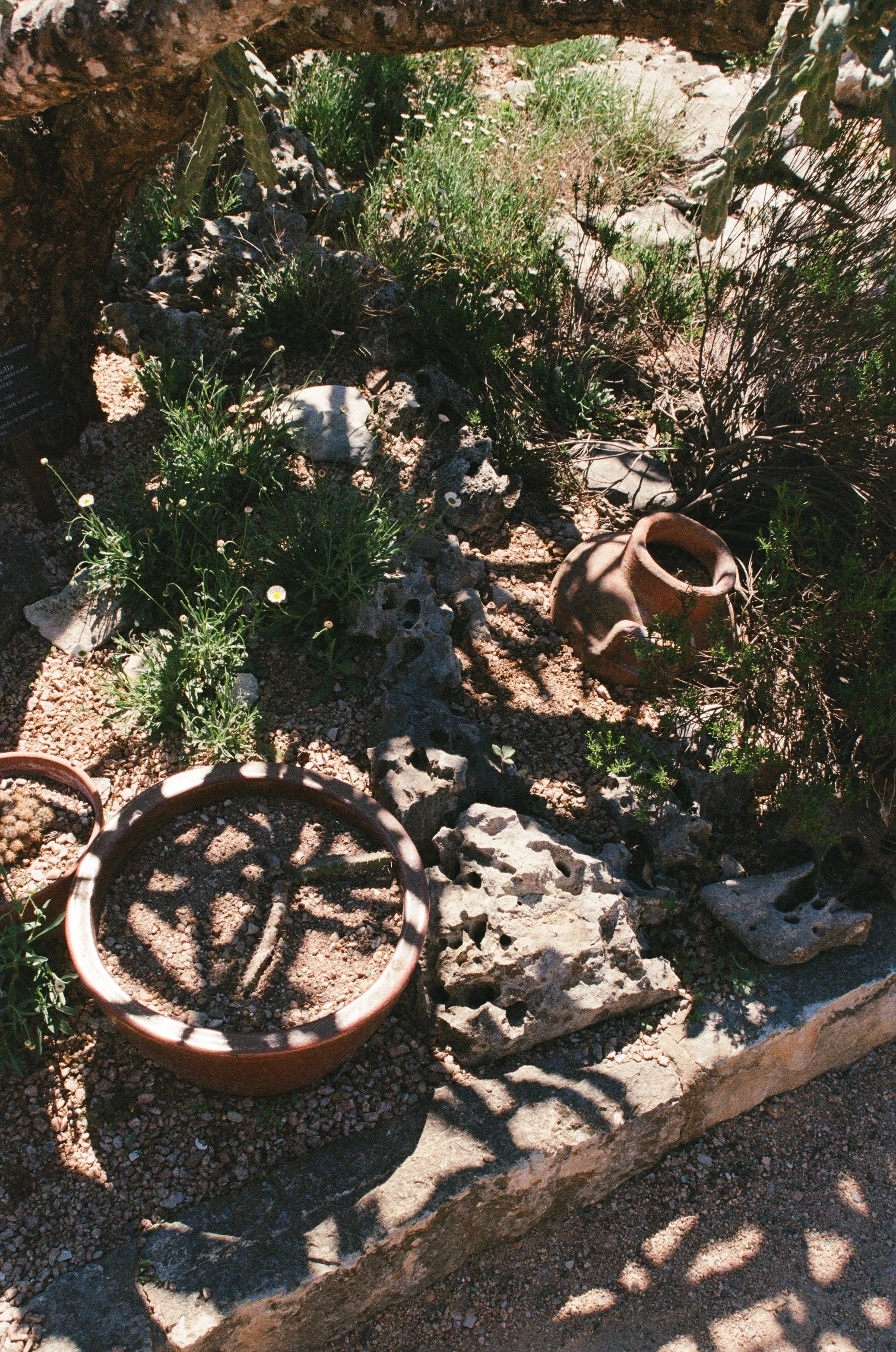 Wedding Florist Austin