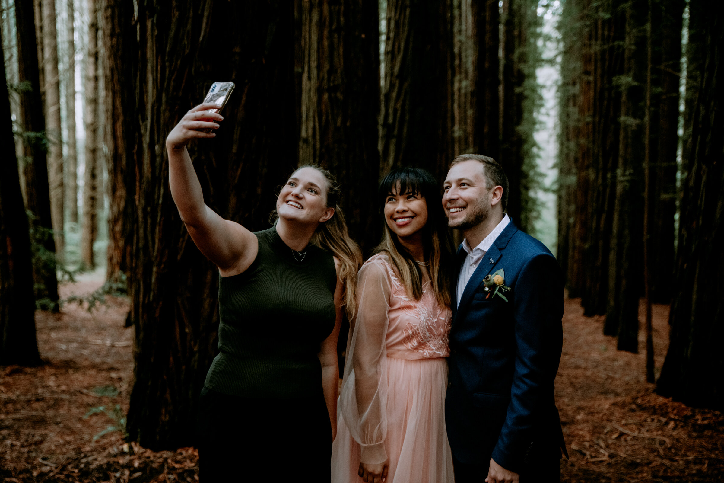 E&J - Redwood Forest - Blueton Studio