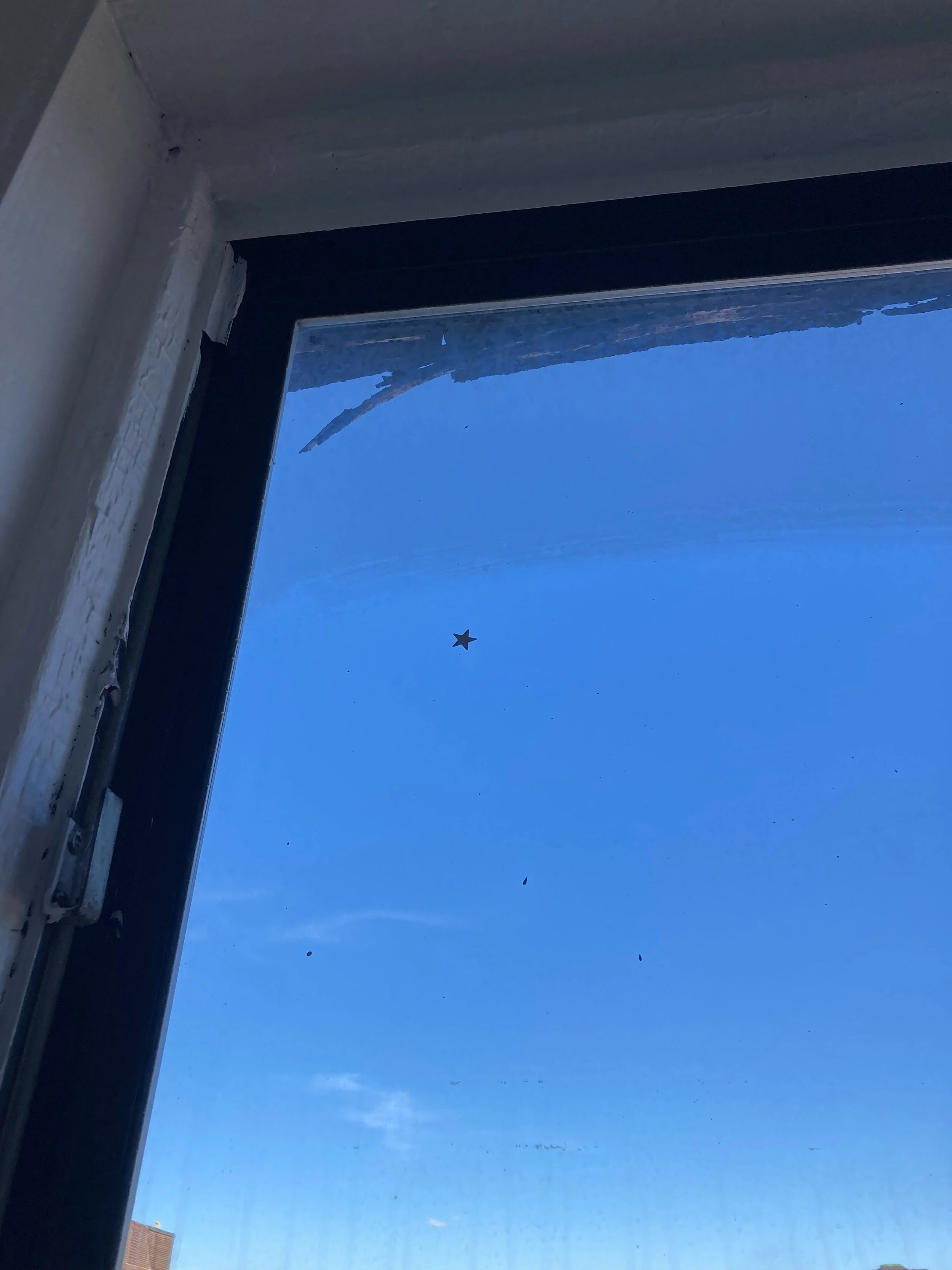 windowstar.jpg