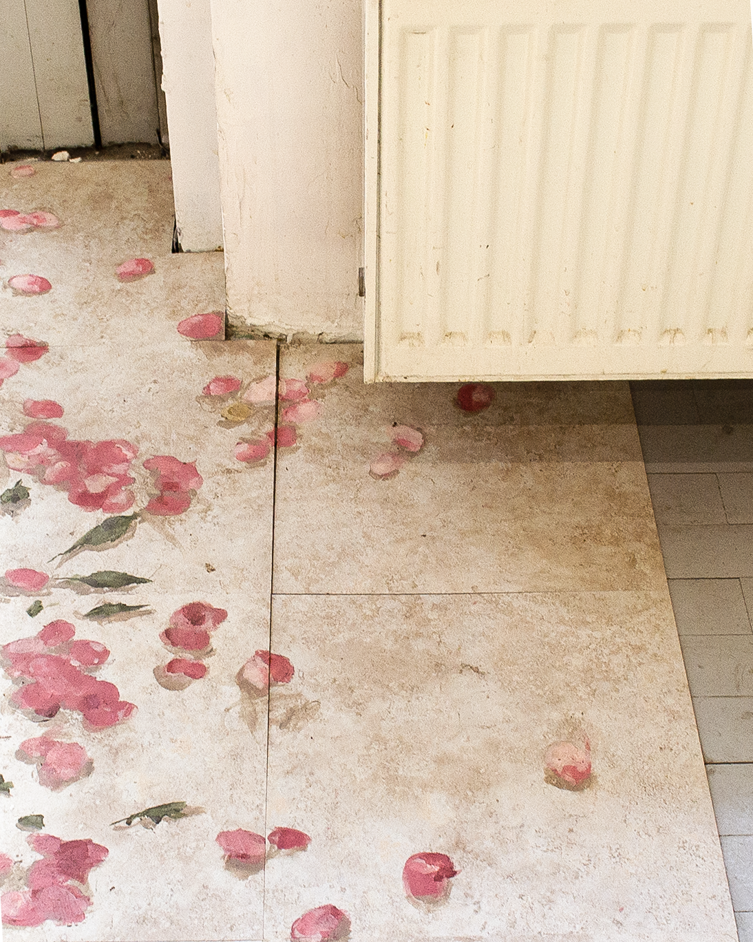 DSC_0533_crop.png