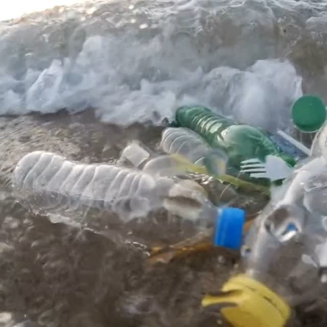 #plasticfreejuly