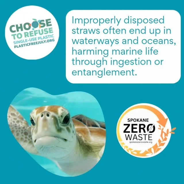 #noplasticbags #noplasticstraws
