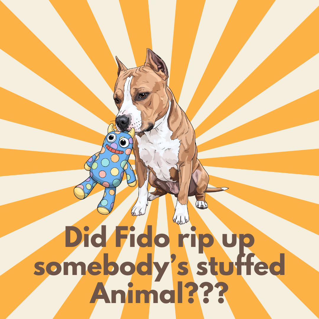 Stuffed Animal Repair Clinic