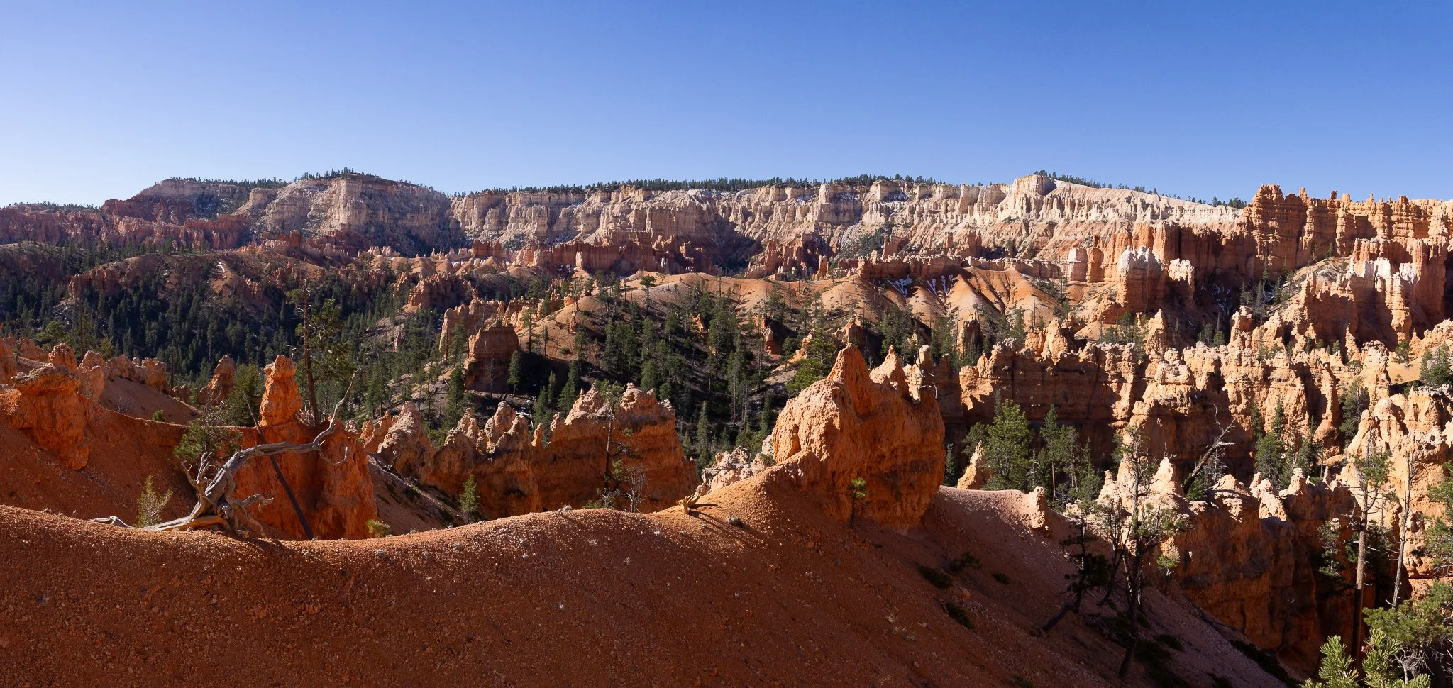 DSC04651-Pano.jpg