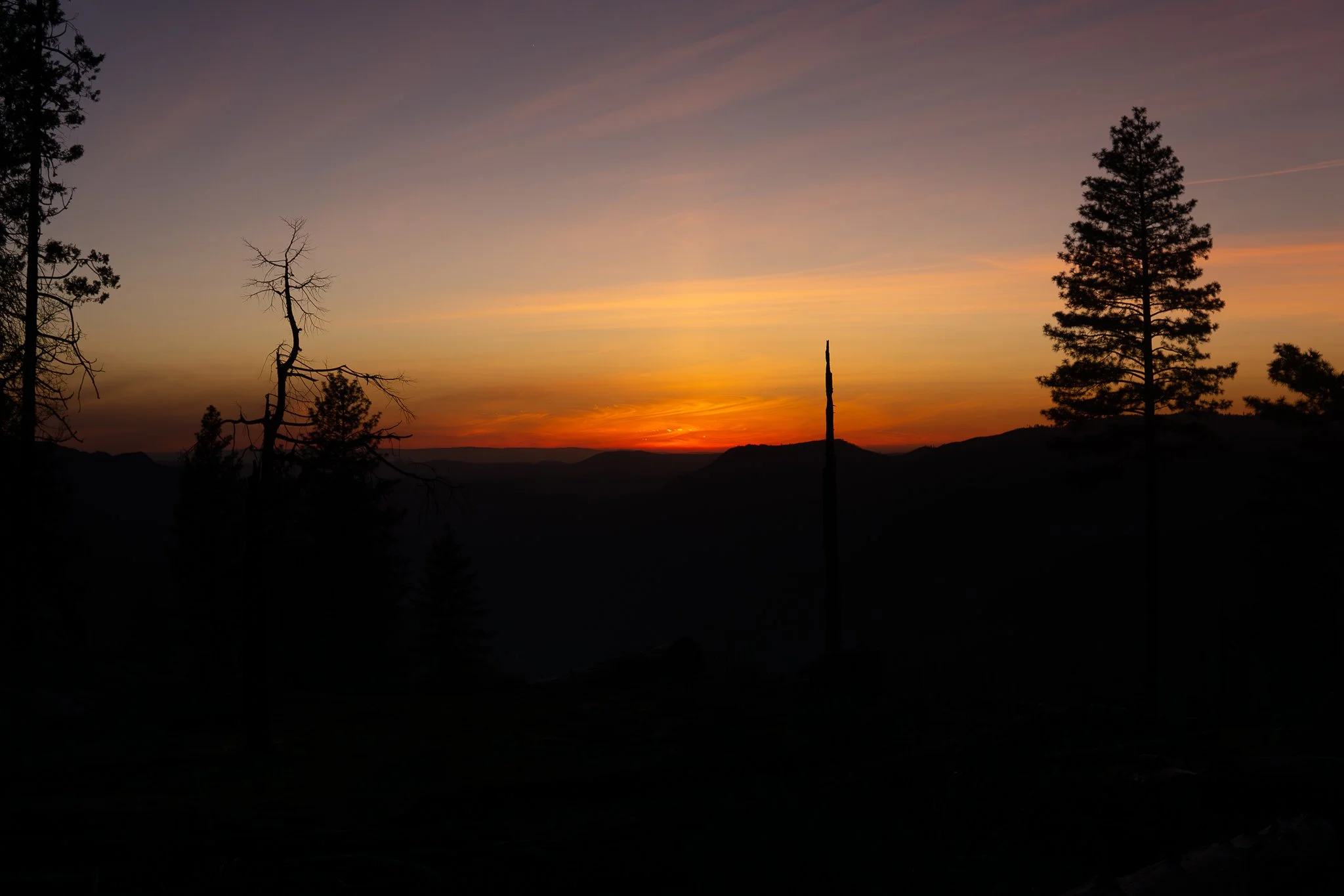 DSC04175.jpg