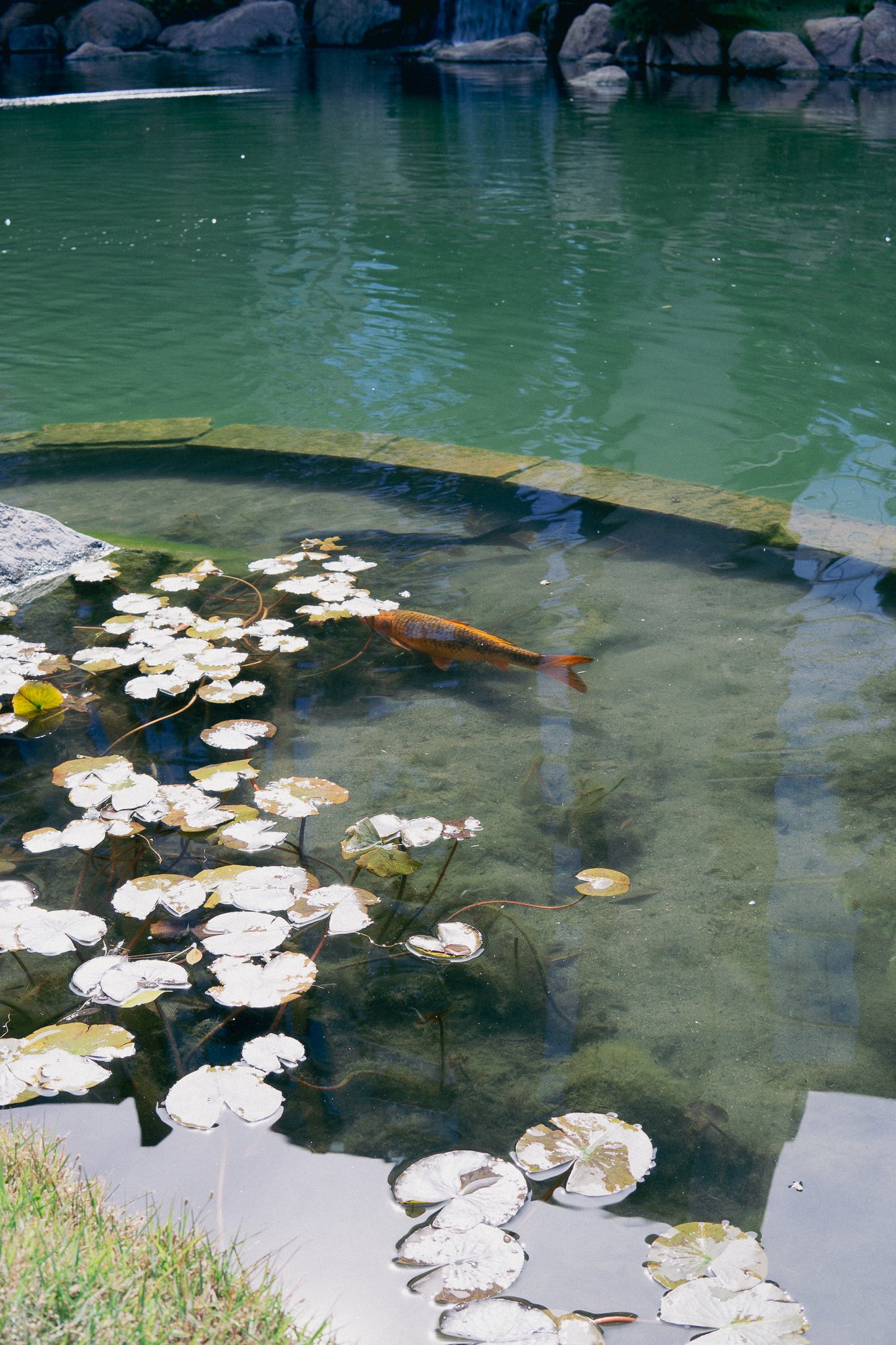 DSC02286.jpg