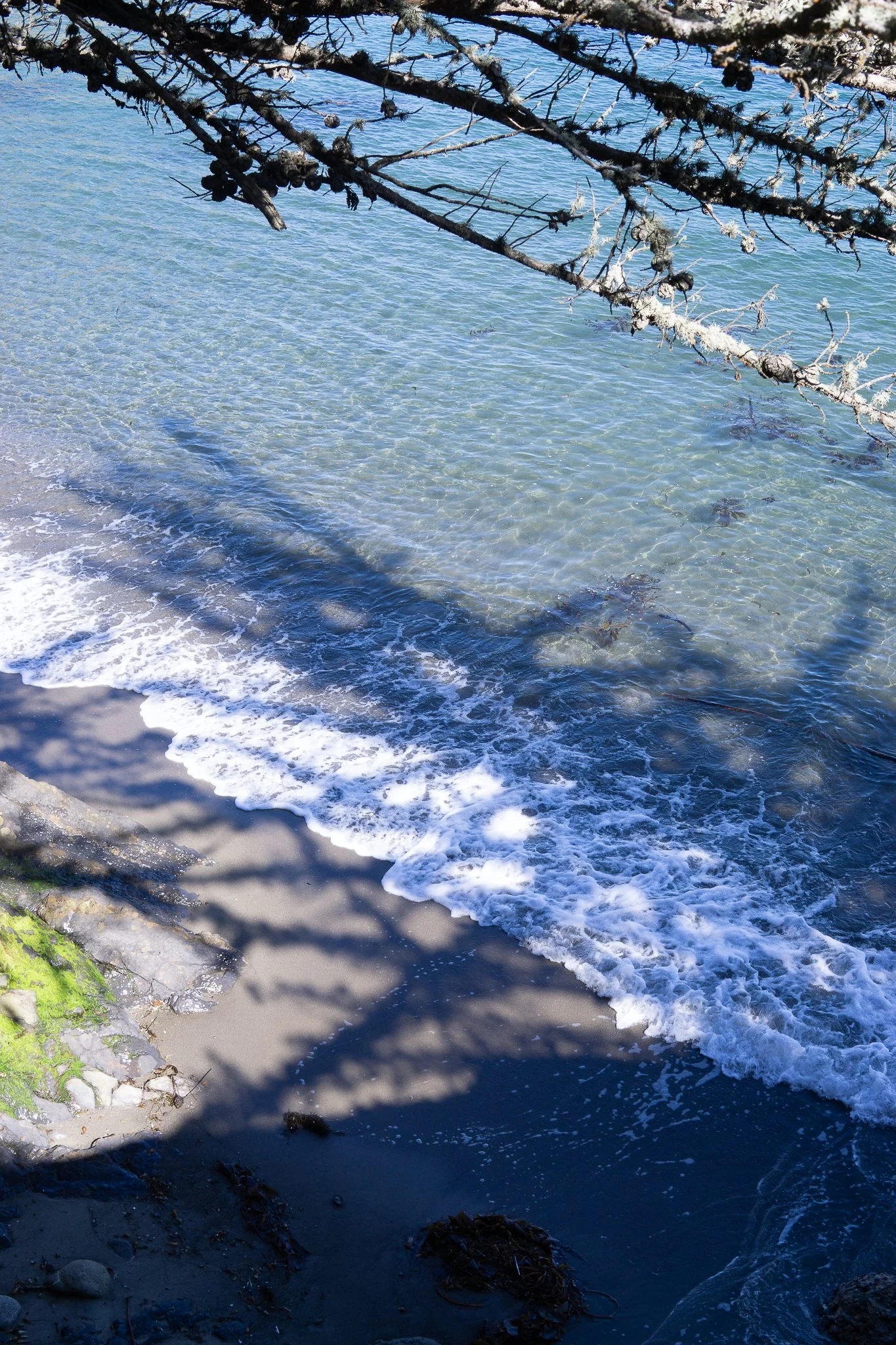 DSC02966.jpg
