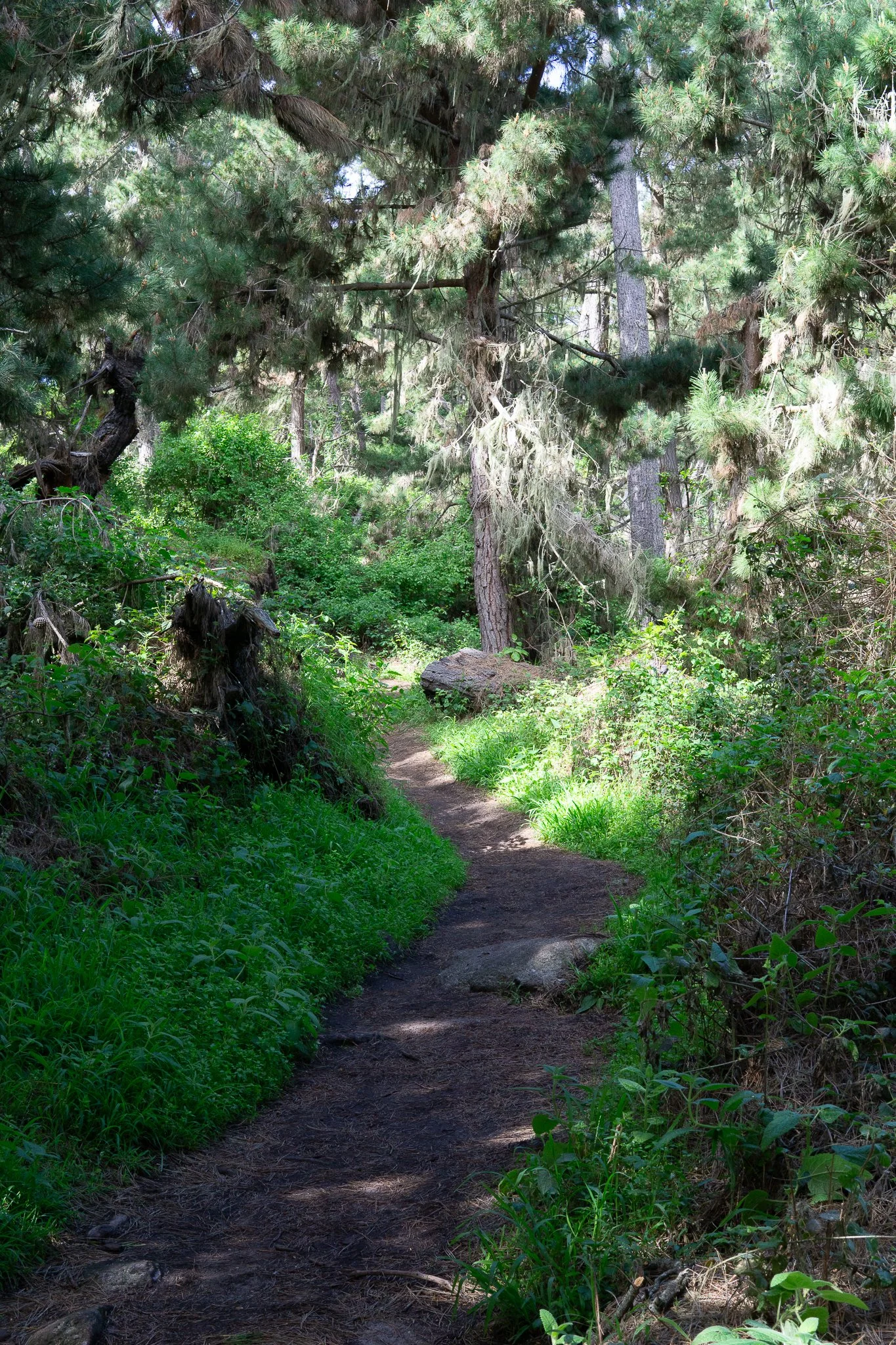 DSC03212.jpg