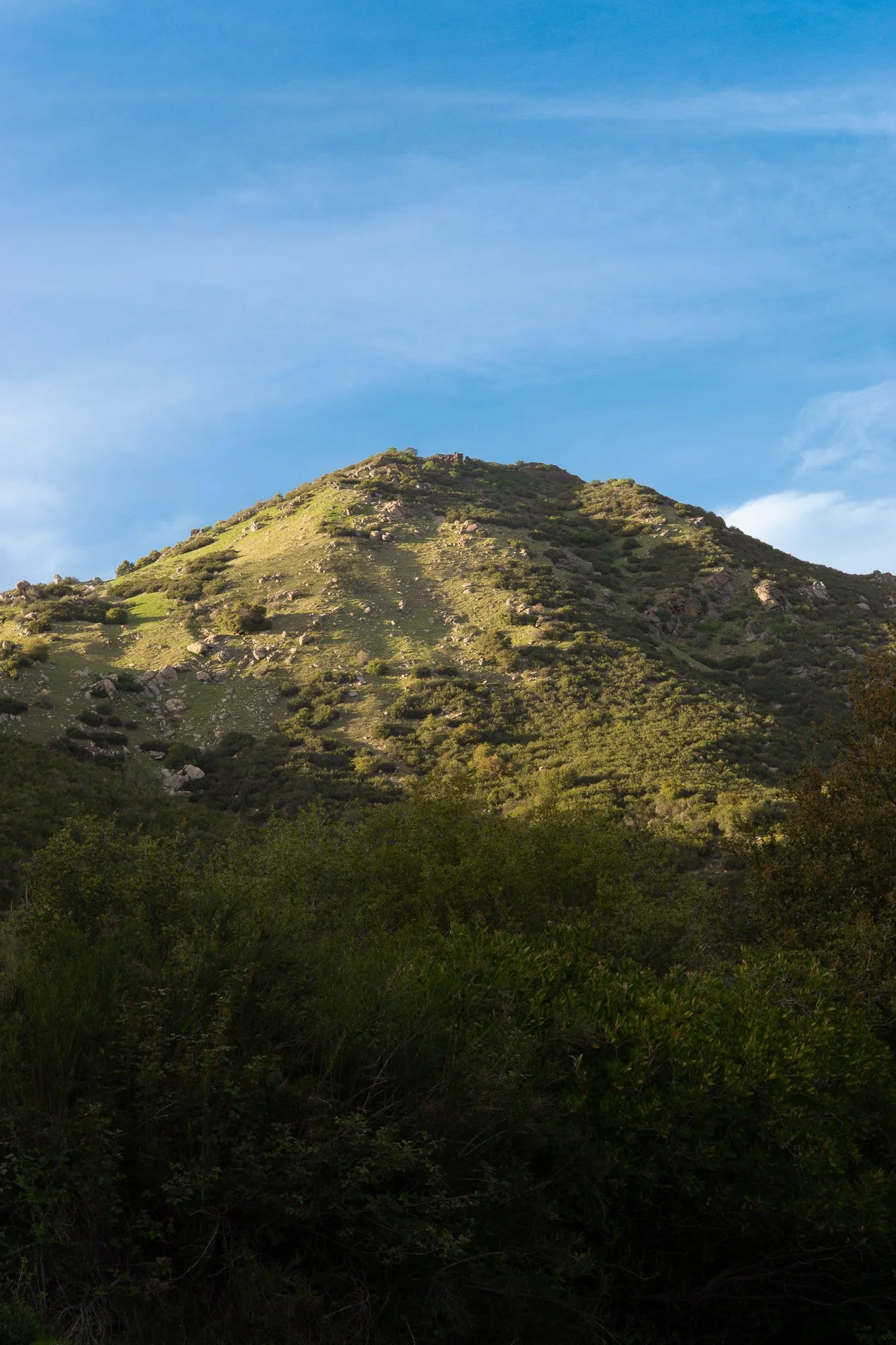 DSC04028.jpg