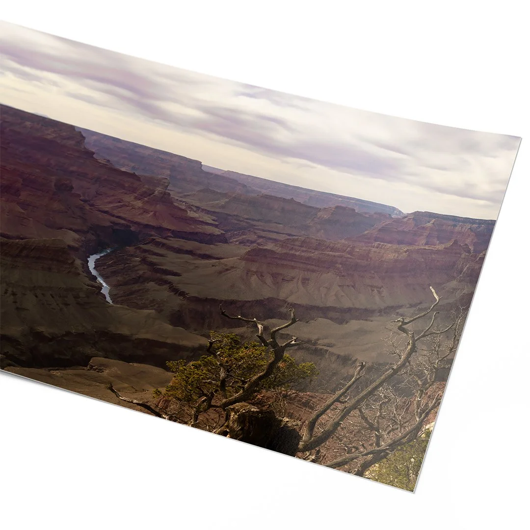South Rim Grand Canyon Close.jpg