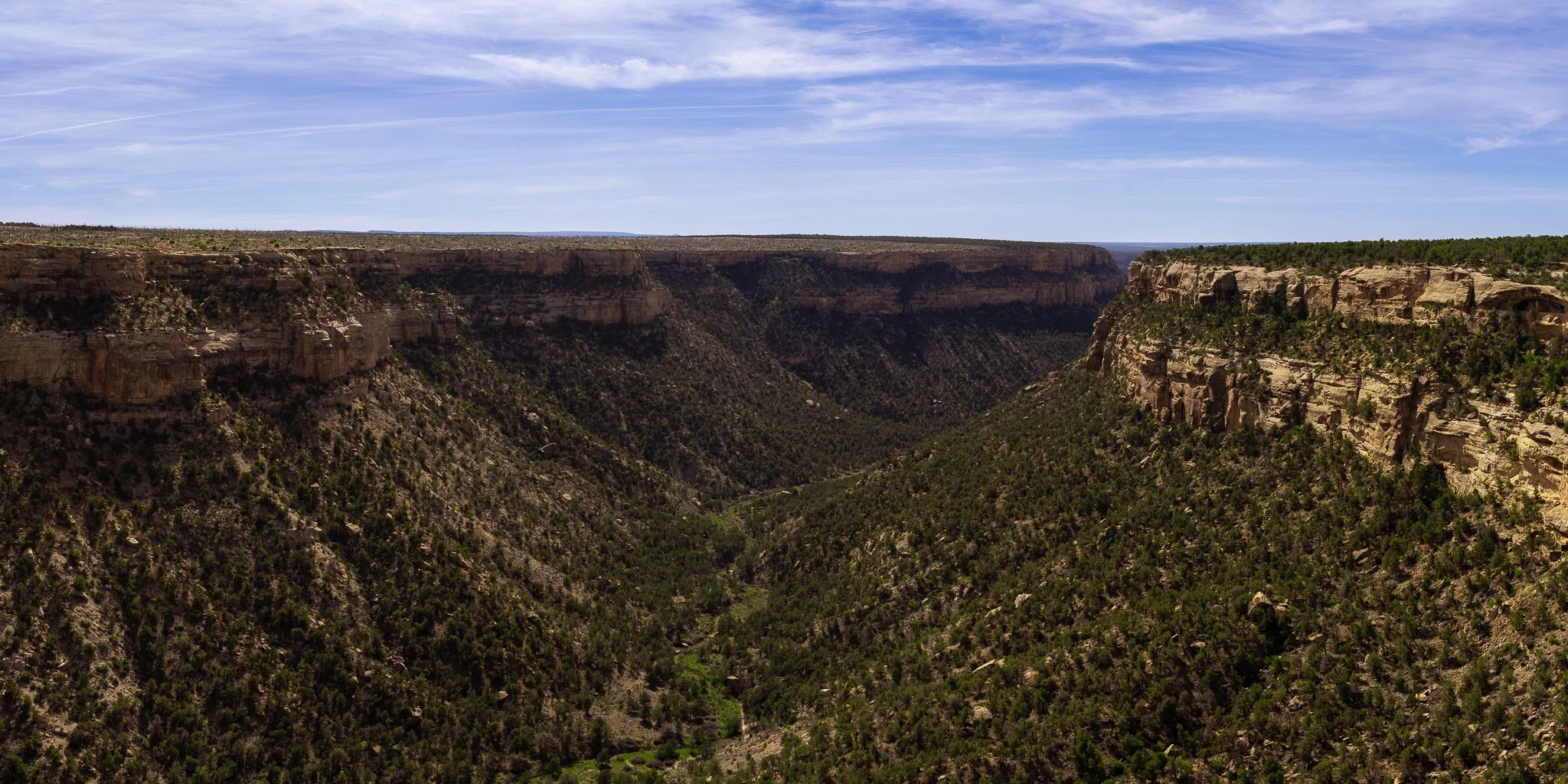 DSC05517-Pano.jpg