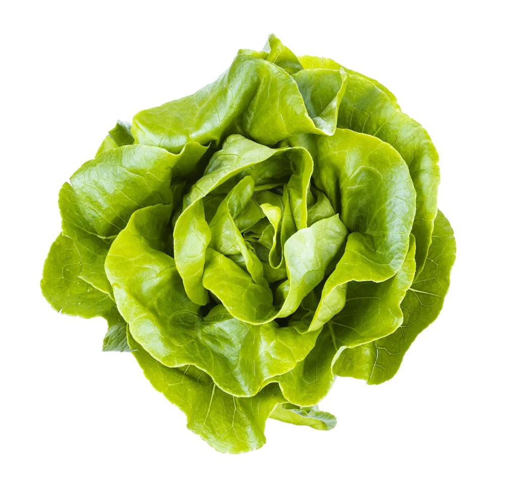 Produce Product Knowledge Price LookUp (PLU) Codes for Cashiers