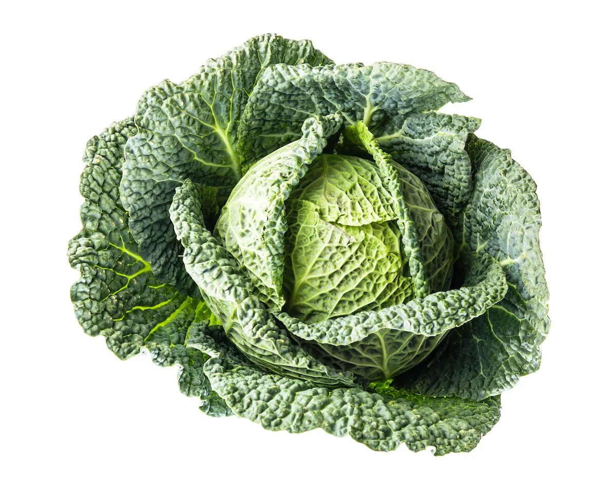 Cabbage Color Codes Produce Product Knowledge - Price Look-Up (PLU) Codes for Cashiers ...