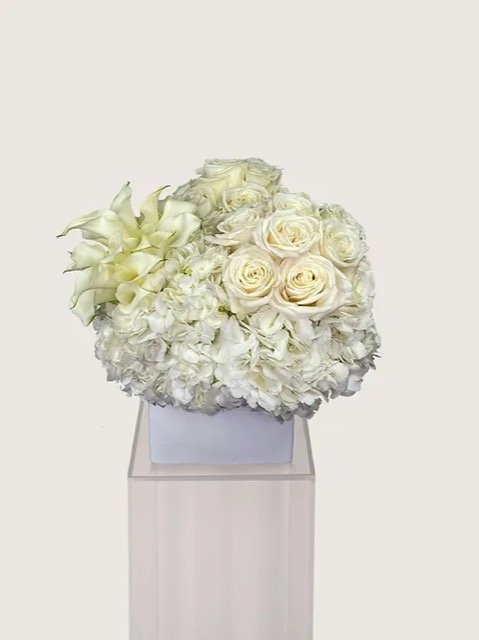 White classic roses clustered around white callas grouped in a soft cloud of white hydrangeas all in an elegant container.