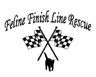 Feline Finish Line Rescue