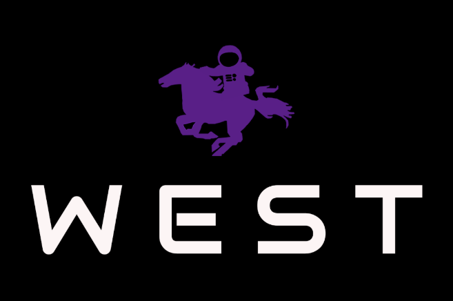 Western Engineering Satellite Team