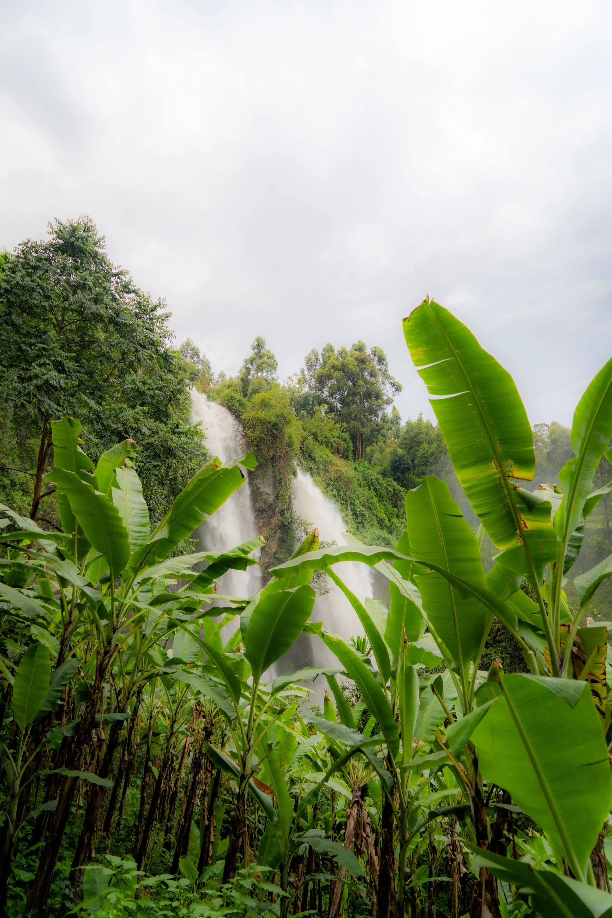 The Tour Guides of Lacam - A Community Development Model