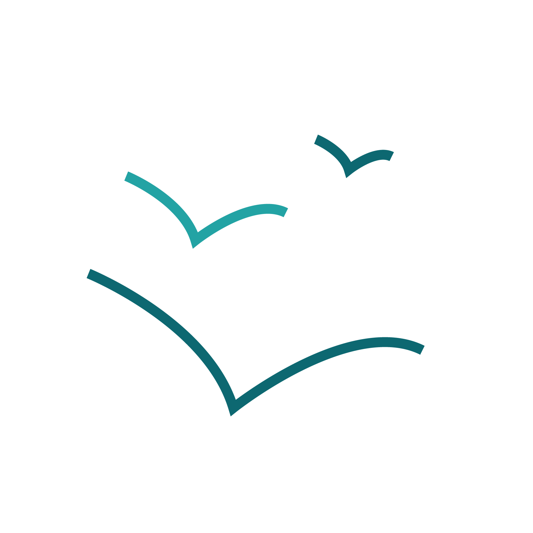 Checklist with three check marks.