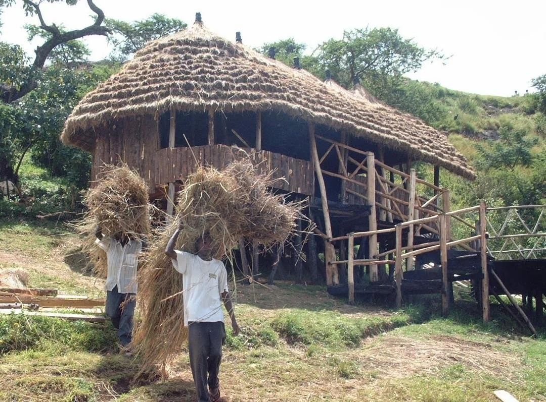 Two men carrying bundles of straw in front of a traditional wooden hut with a thatched roof in a rural area.