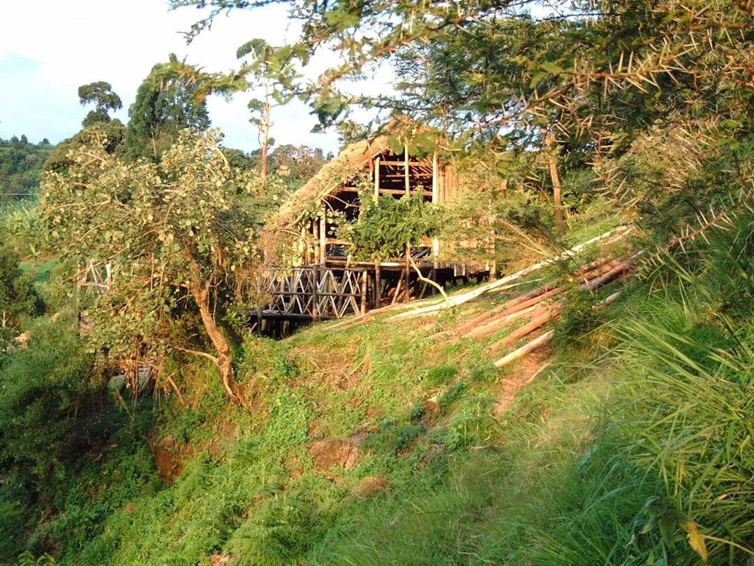 A wooden house on stilts surrounded by trees and lush green vegetation in a rural setting, with a hilly landscape in the background and a fence made of bamboo or wood.