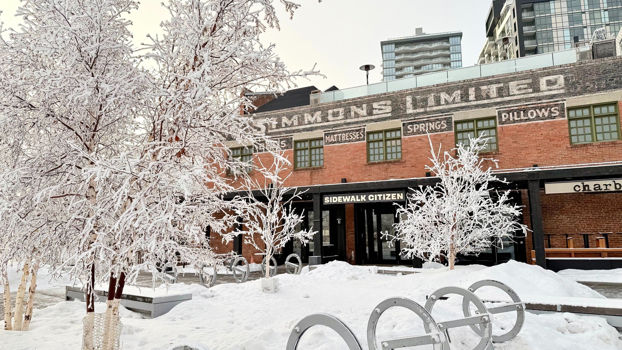 There's just something about the riverwalk in winter, somehow made even better when you have a tasty treat from Sidewalk Citizen Bakery.
.
.
.
.
.
.
#yyc #yyceats #yycnow #calgaryisbeautiful #calgarybakery