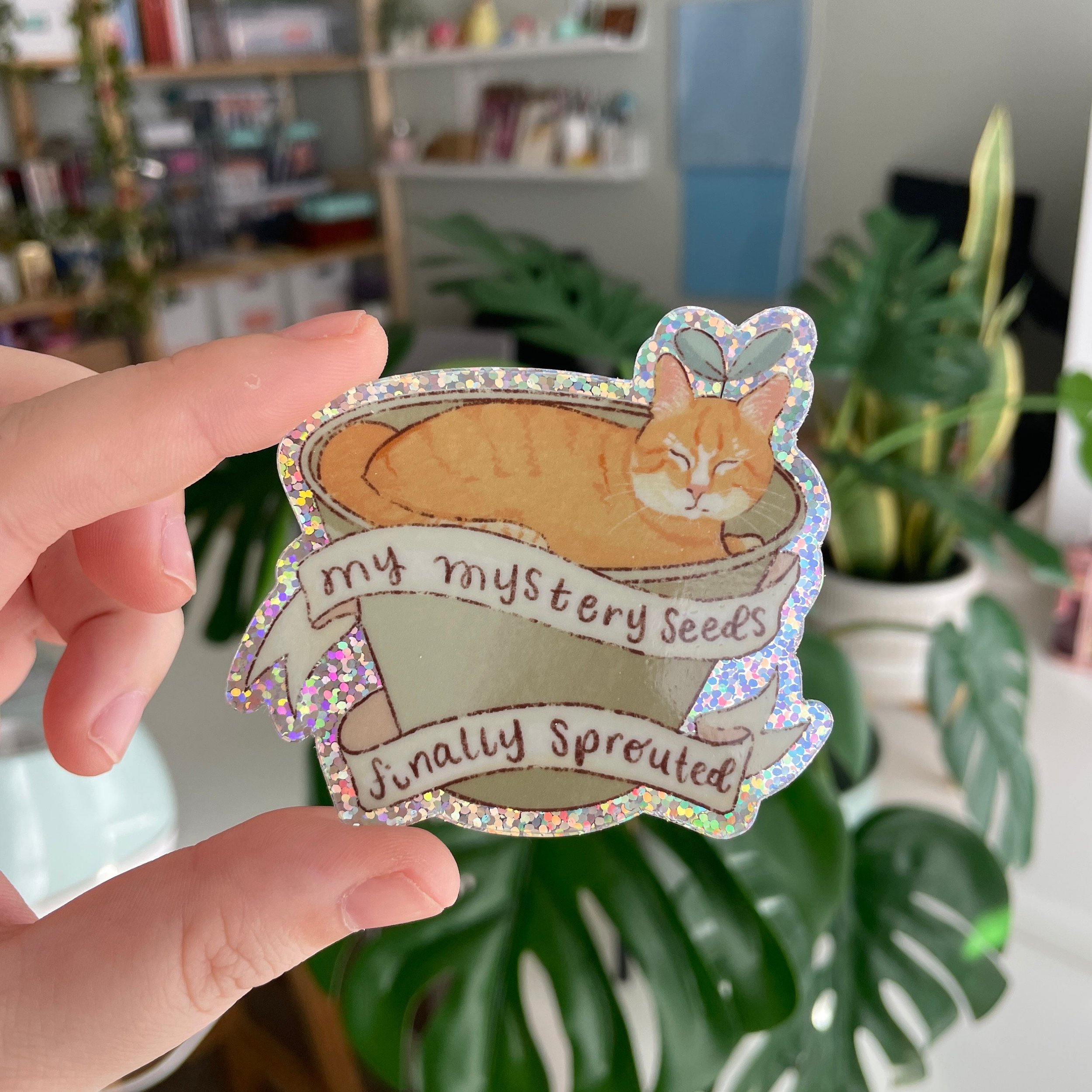 https://i.etsystatic.com/22071398/r/il/eb9c5a/5682763550/il_fullxfull.5682763550_1ts5.jpg