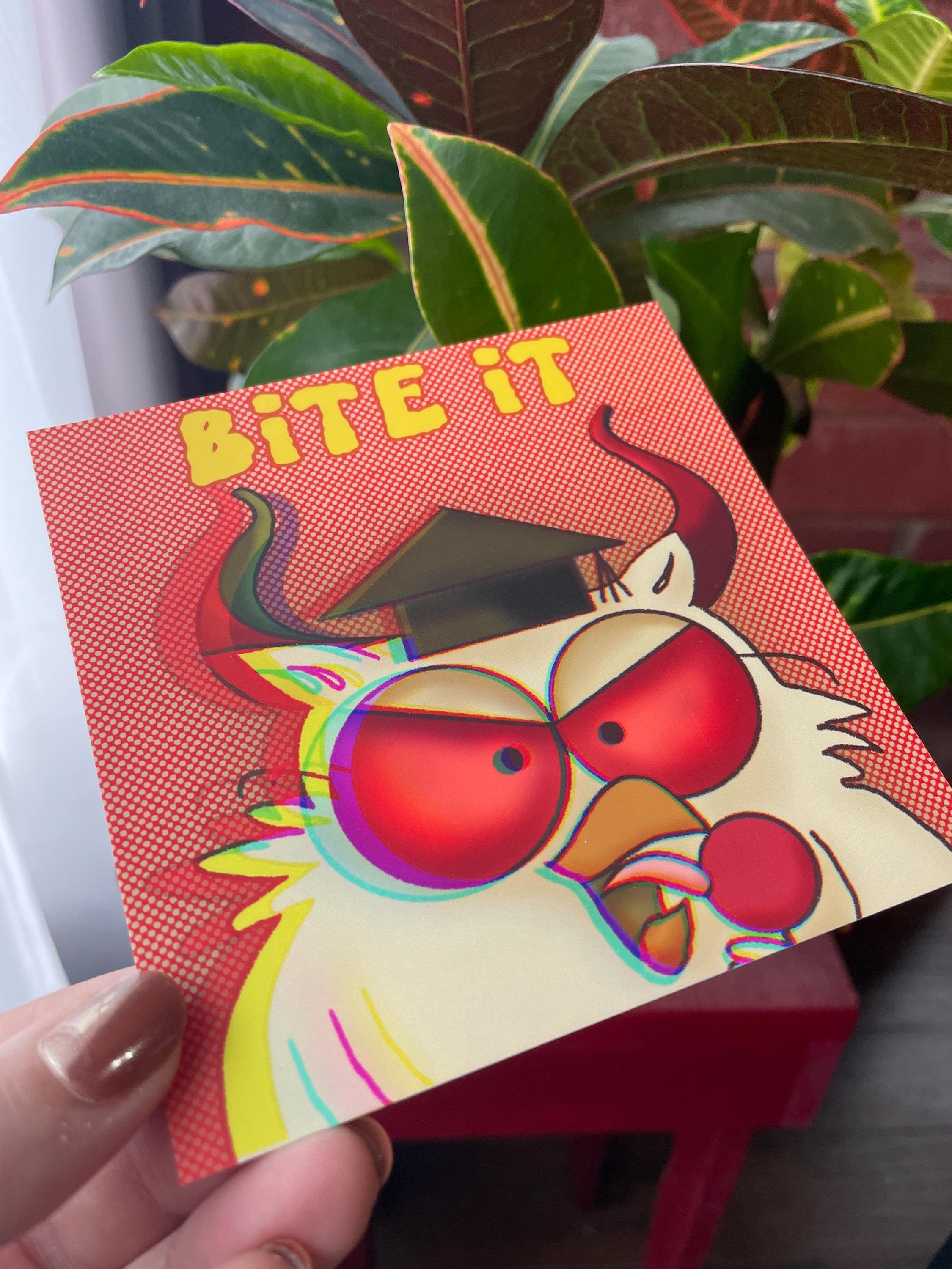 https://i.etsystatic.com/22071398/r/il/dccbad/6529865263/il_fullxfull.6529865263_sozf.jpg
