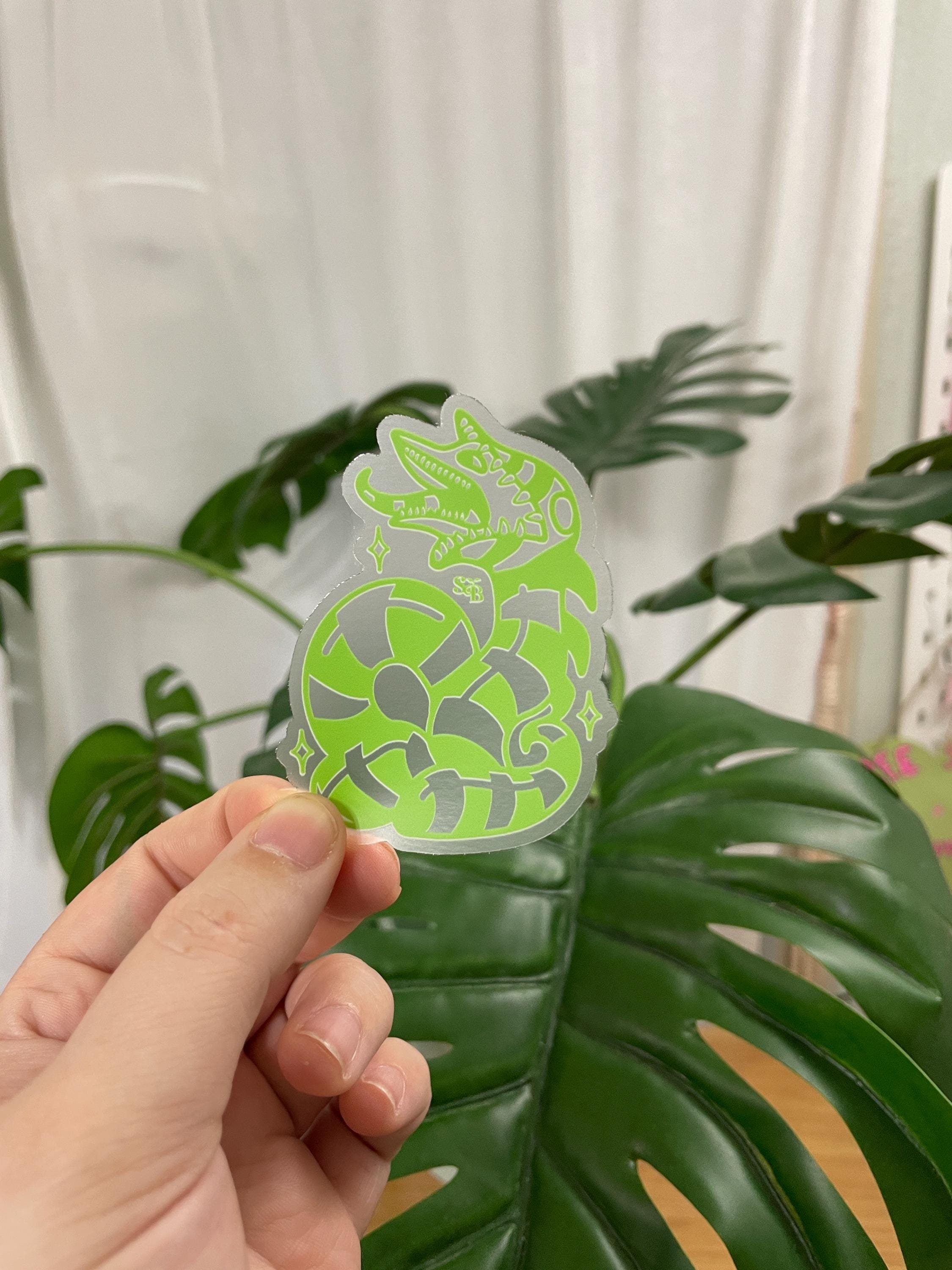 https://i.etsystatic.com/22071398/r/il/513275/6429254905/il_fullxfull.6429254905_ag4z.jpg