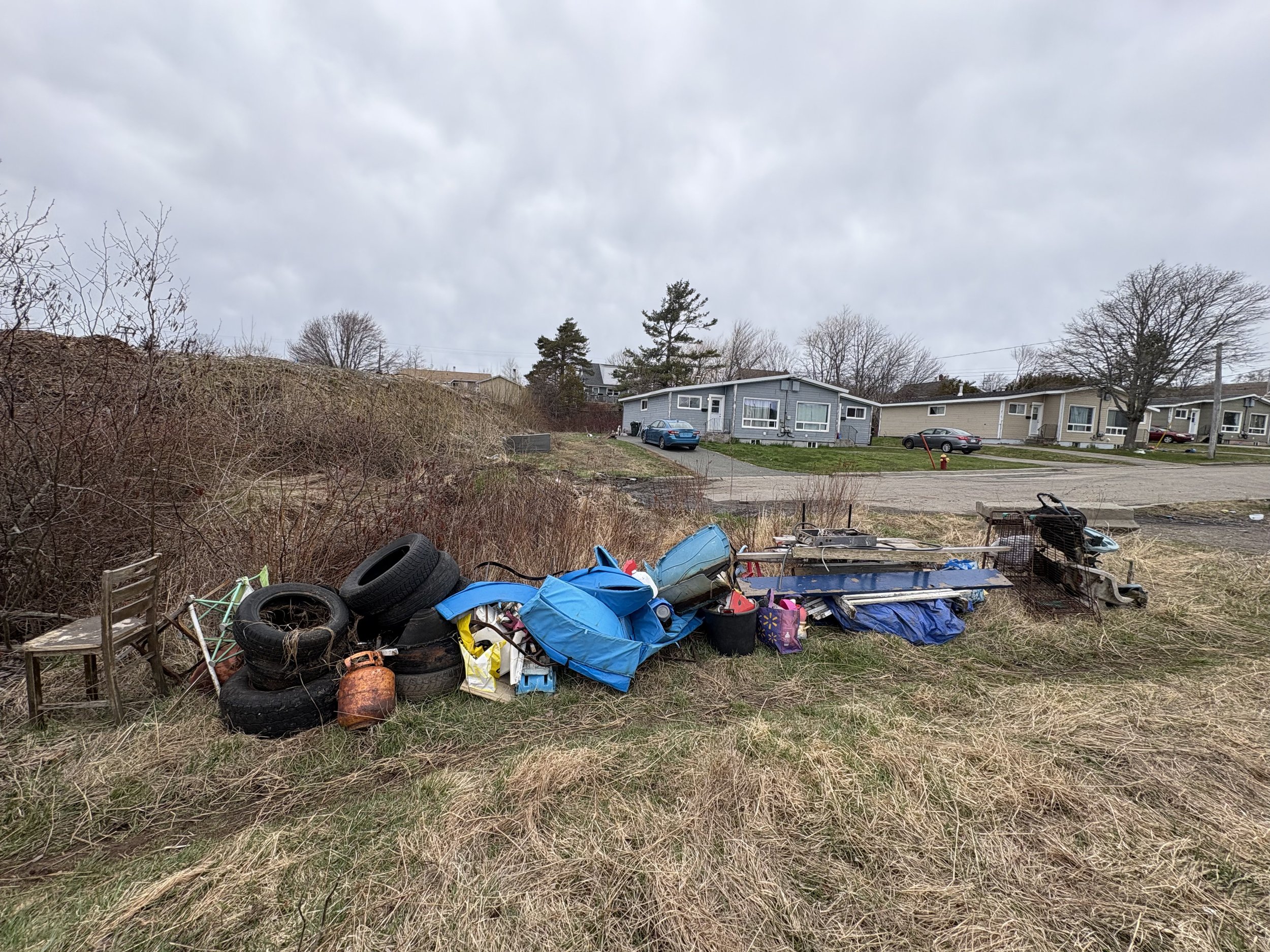 Wetland 4 garbage clean up with Riparian Zone Ready: Sydney. May, 2026