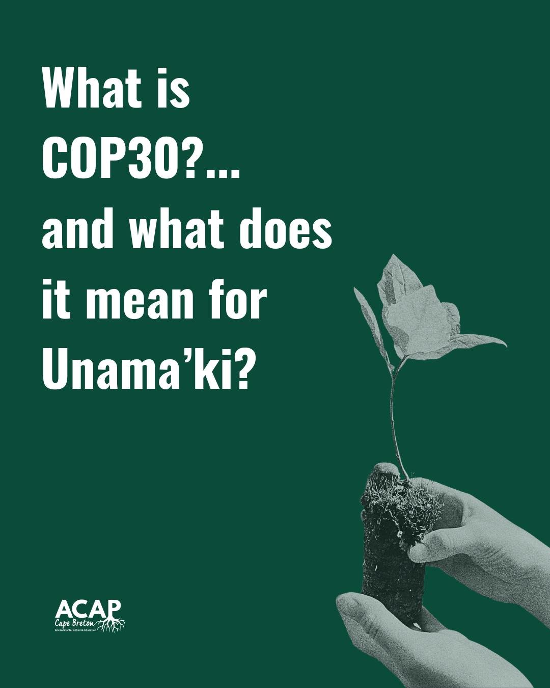 What is COP 30...and what does it mean for Unama&rsquo;ki?
-A note from ACAP CB Executive Director, Kathleen

COP 30 is the 30th United Nations Climate Change conference, held in Bel&eacute;m, Brazil. Over 50,000 delegates are in attendance from gove