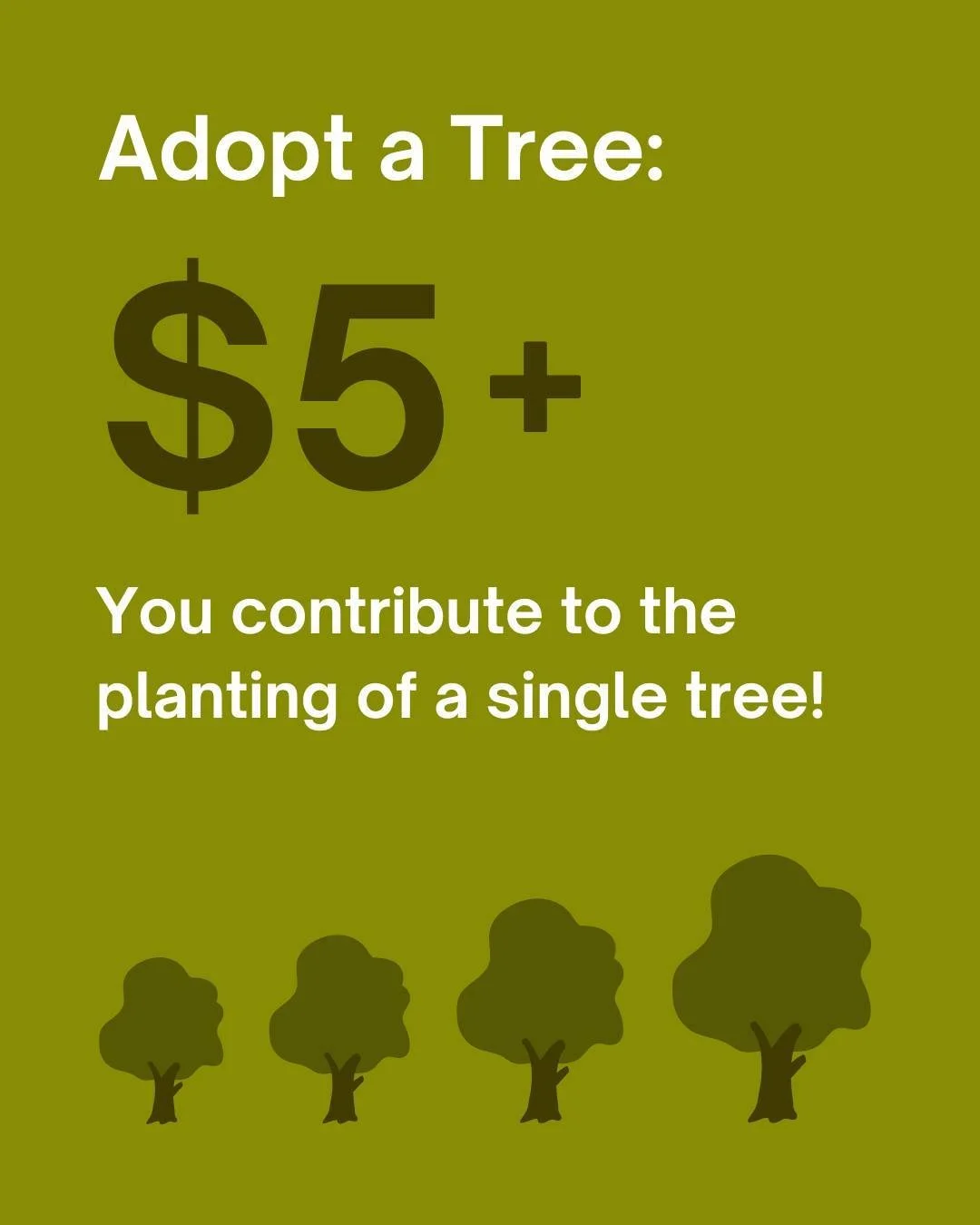With climate change accelerating the loss of biodiversity and threatening ecosystems, the Adopt a Forest program provides a hands-on way for citizens to take action and make a lasting difference!

With a single donation of $5, you can cover the cost 