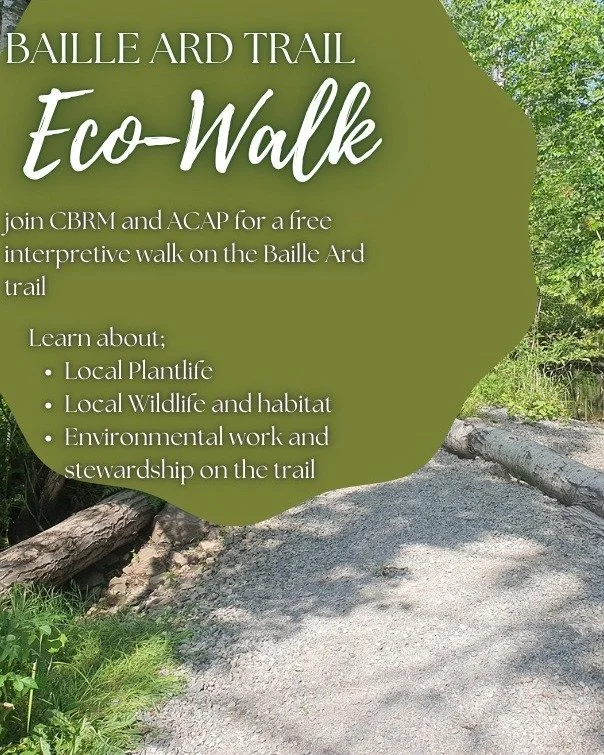 Join us, alongside @cbrmactive for an Eco-Walk and interpretive hike at the Baille Ard Trails, happening this  Thursday October 16th at 10:30am!

You can register for this event at the link in our bio 🔗

We hope to see you there!
