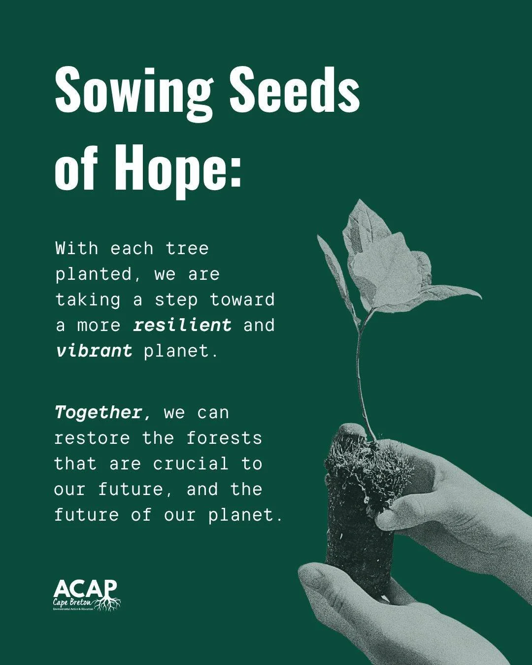 Our Adopt a Forest Program is more than just trees in the ground:

It strengthens community ties through our volunteer planting events, provides safe and clean drinking water*, and allows us to offer environmental internships to youth here in Unama&r