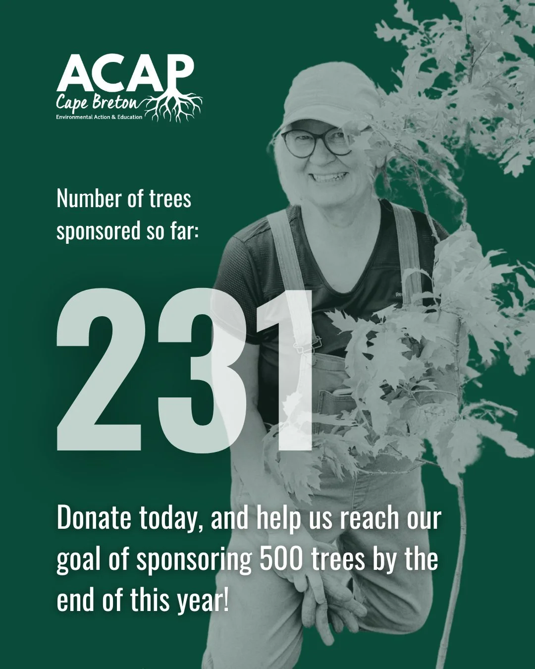 It's one week until #GivingTuesday, and we need your help! 🌱

We have 231 trees sponsored so far, and we would love to reach 500 trees by the end of this year. 

Donate today at the link in our bio and help us reach our goal!